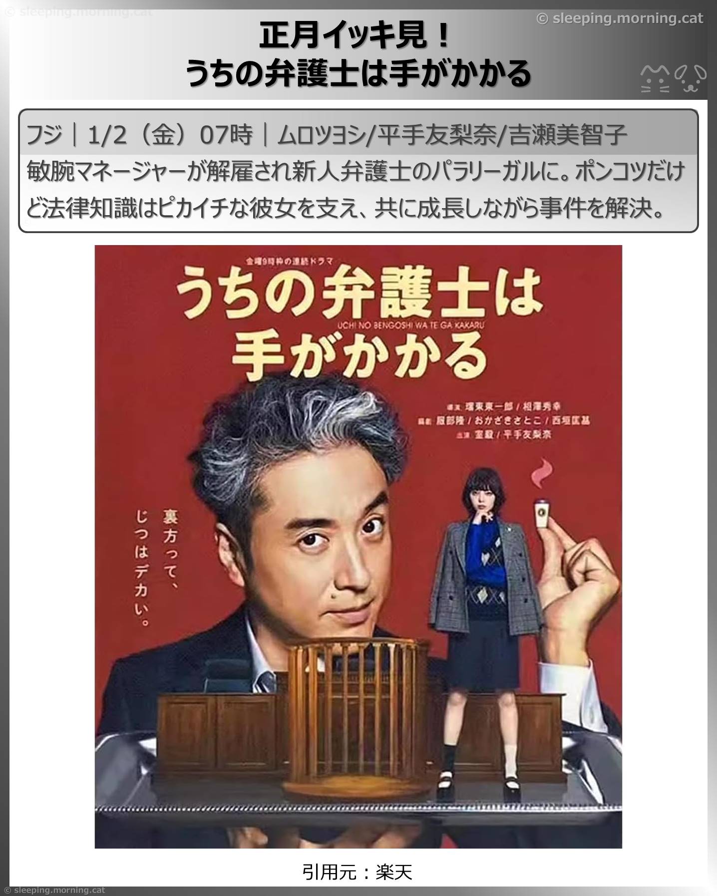 年末年始ドラマ：正月イッキ見!うちの弁護士は手がかかる