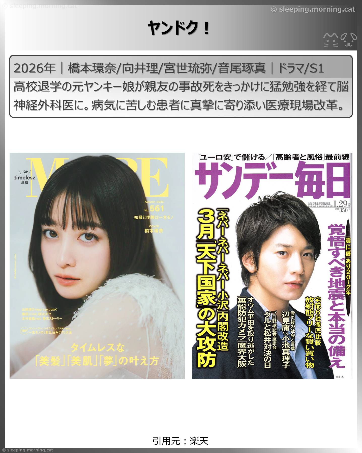 2026年1月スタート新ドラマ：ヤンドク!