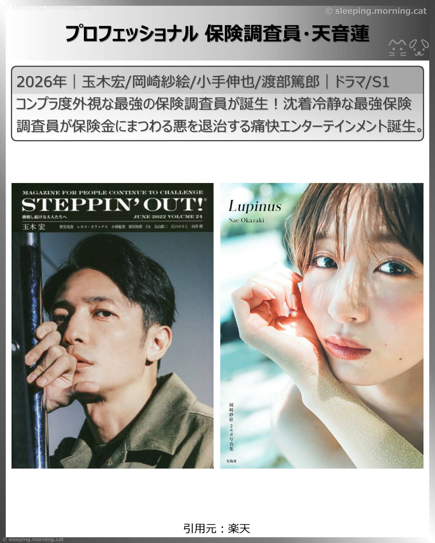 2026年1月スタート新ドラマ：プロフェッショナル保険調査員・天音蓮