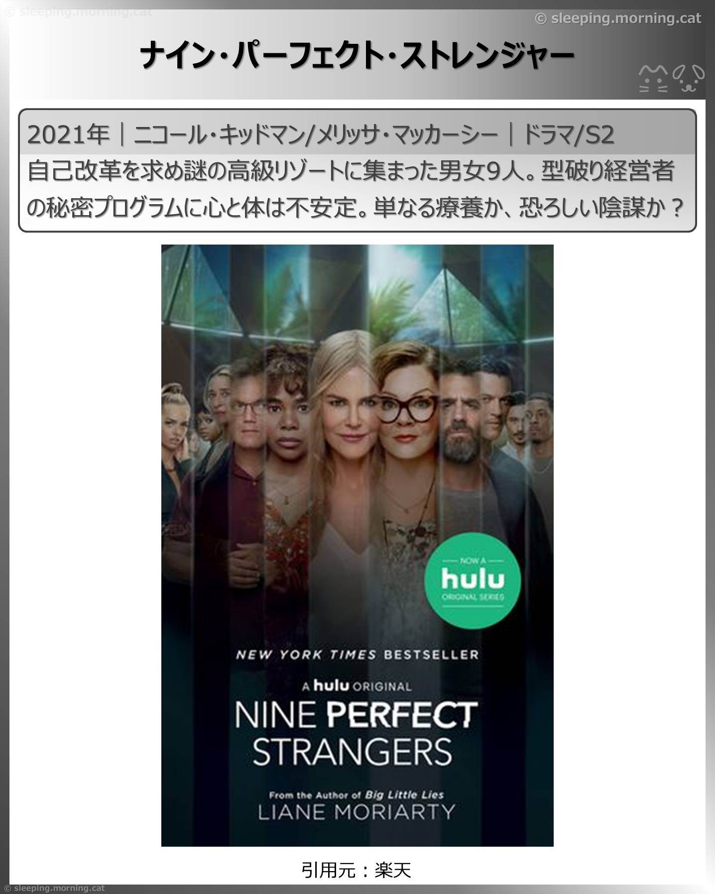 アマプラ見放題海外ドラマ：ナイン・パーフェクト・ストレンジャー