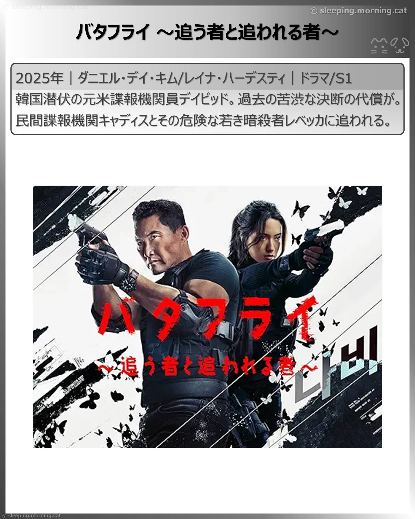 アマプラ見放題海外ドラマ：バタフライ～追う者と追われる者～