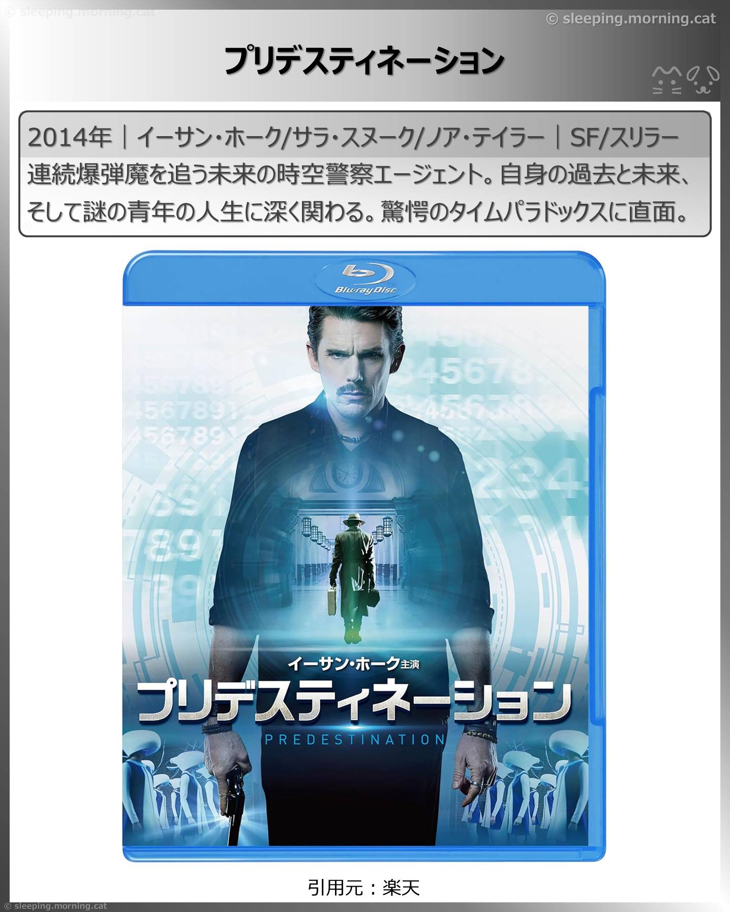 タイムトラベル映画：プリデスティネーション