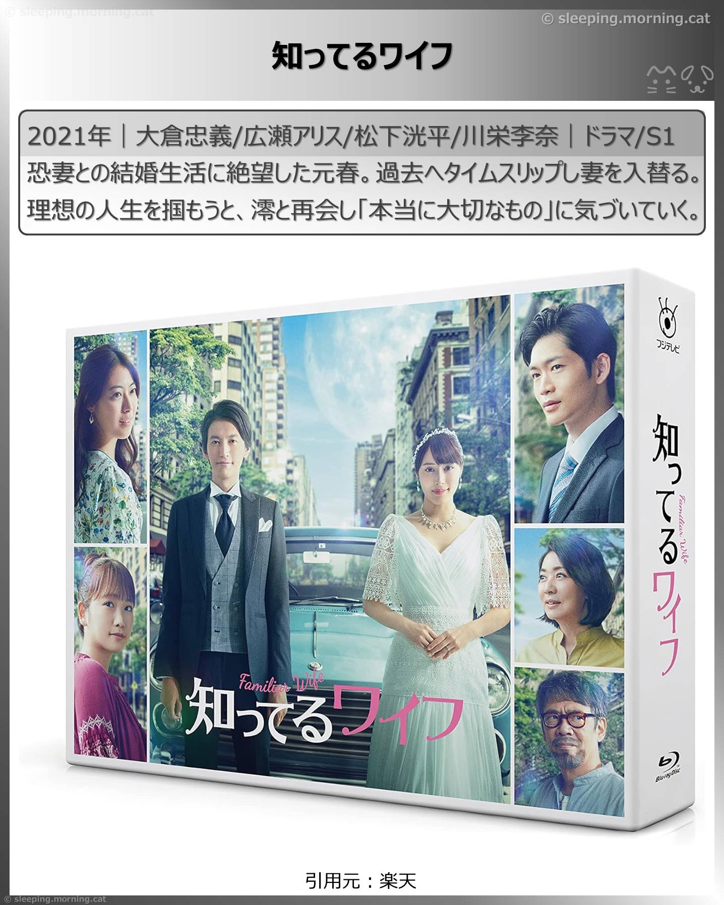 タイムトラベル、タイムループのドラマ：知ってるワイフ