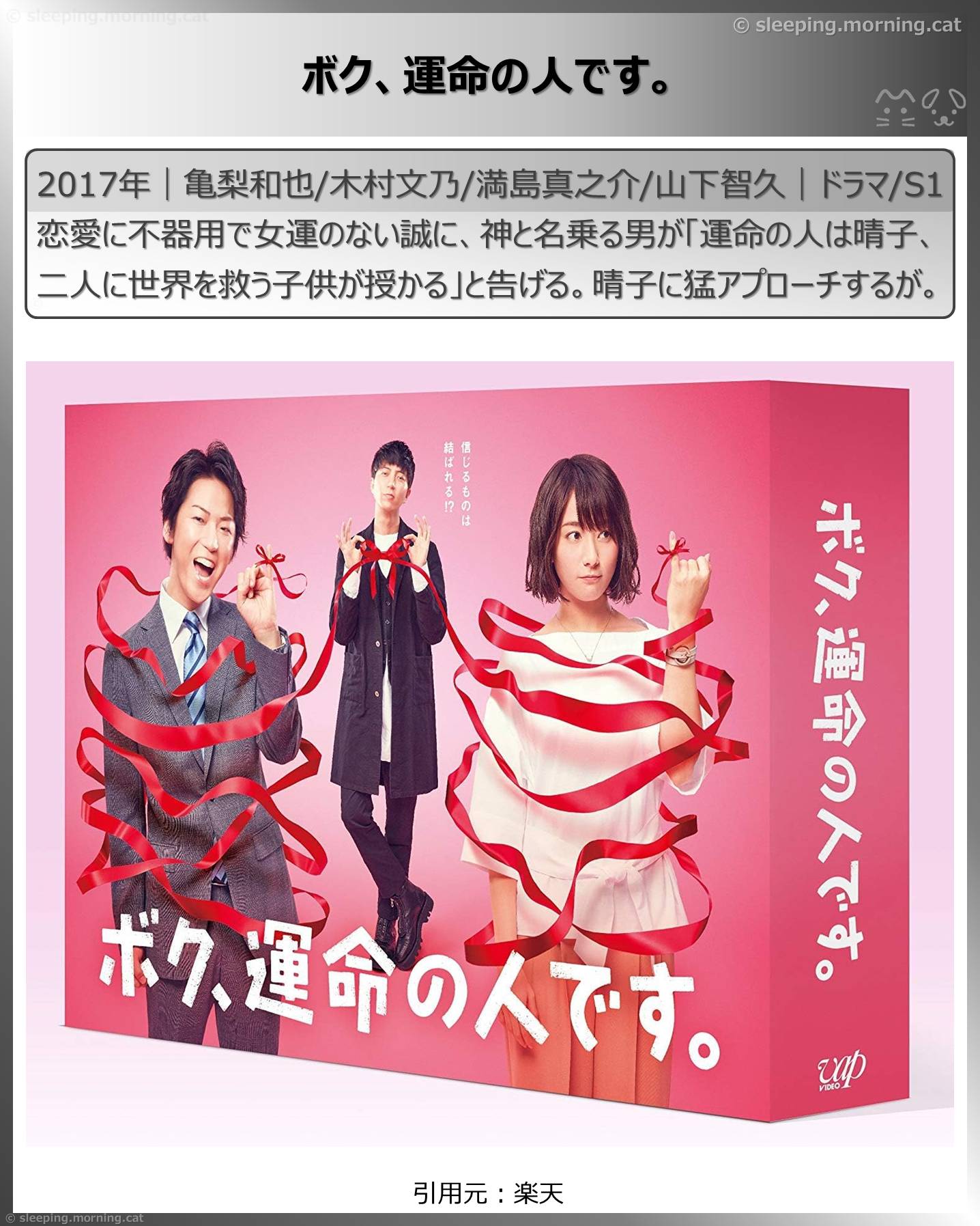 タイムトラベル、タイムループのドラマ：ボク、運命の人です。