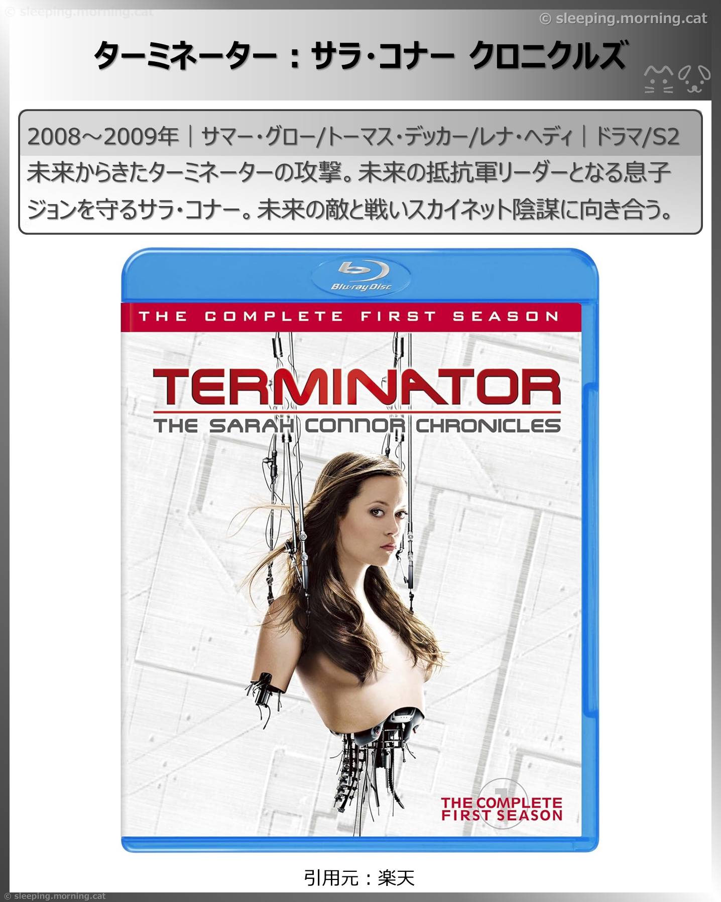 タイムトラベル、タイムループのドラマ：ターミネーター：サラ・コナークロニクルズ