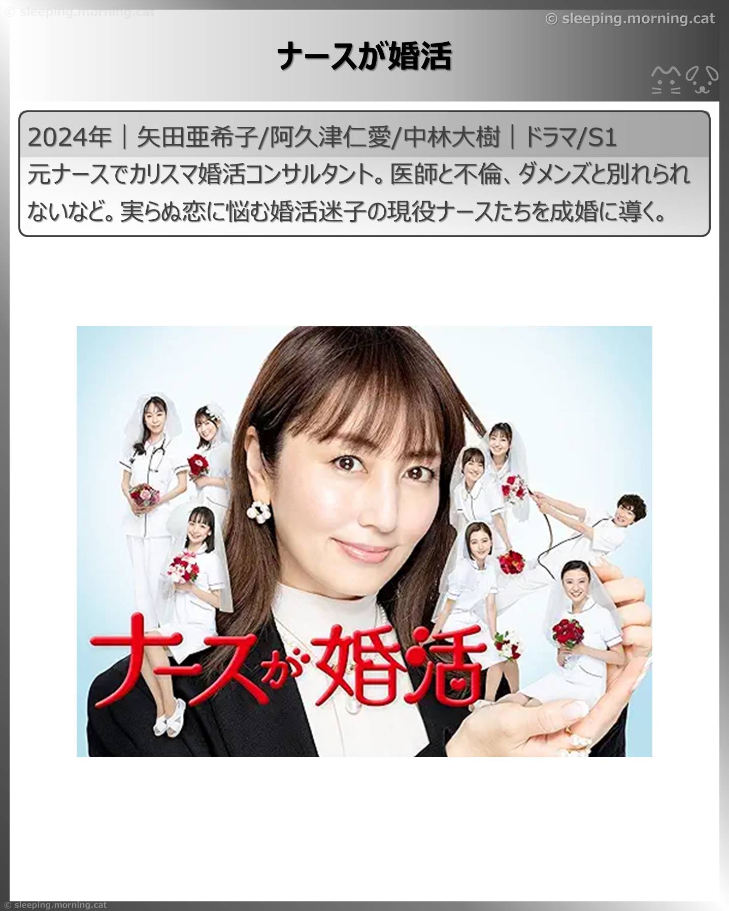 アマプラ恋愛ドラマ：ナースが婚活
