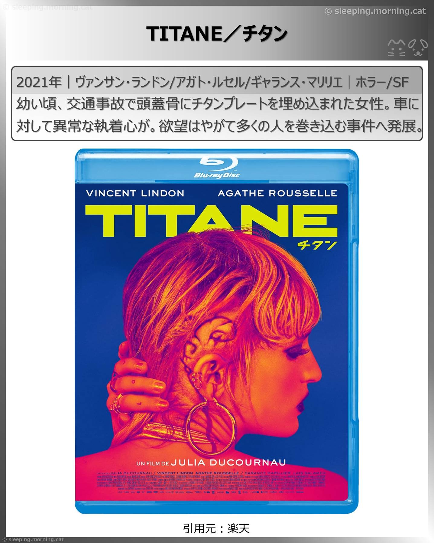 アマプラ見放題新着2026年2月：TITANE／チタン