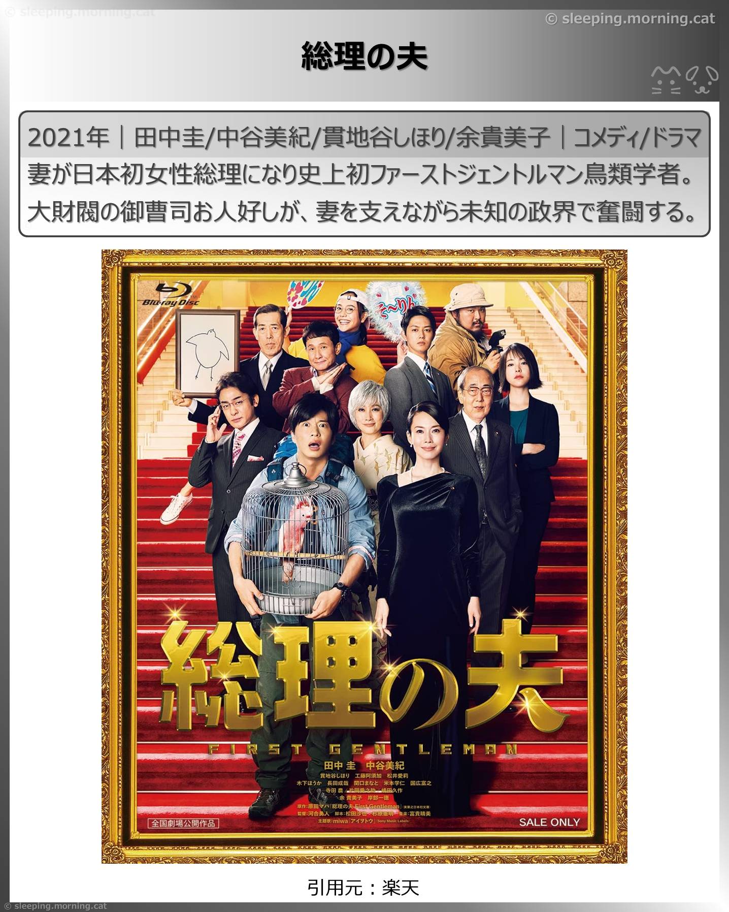 中谷美紀：総理の夫