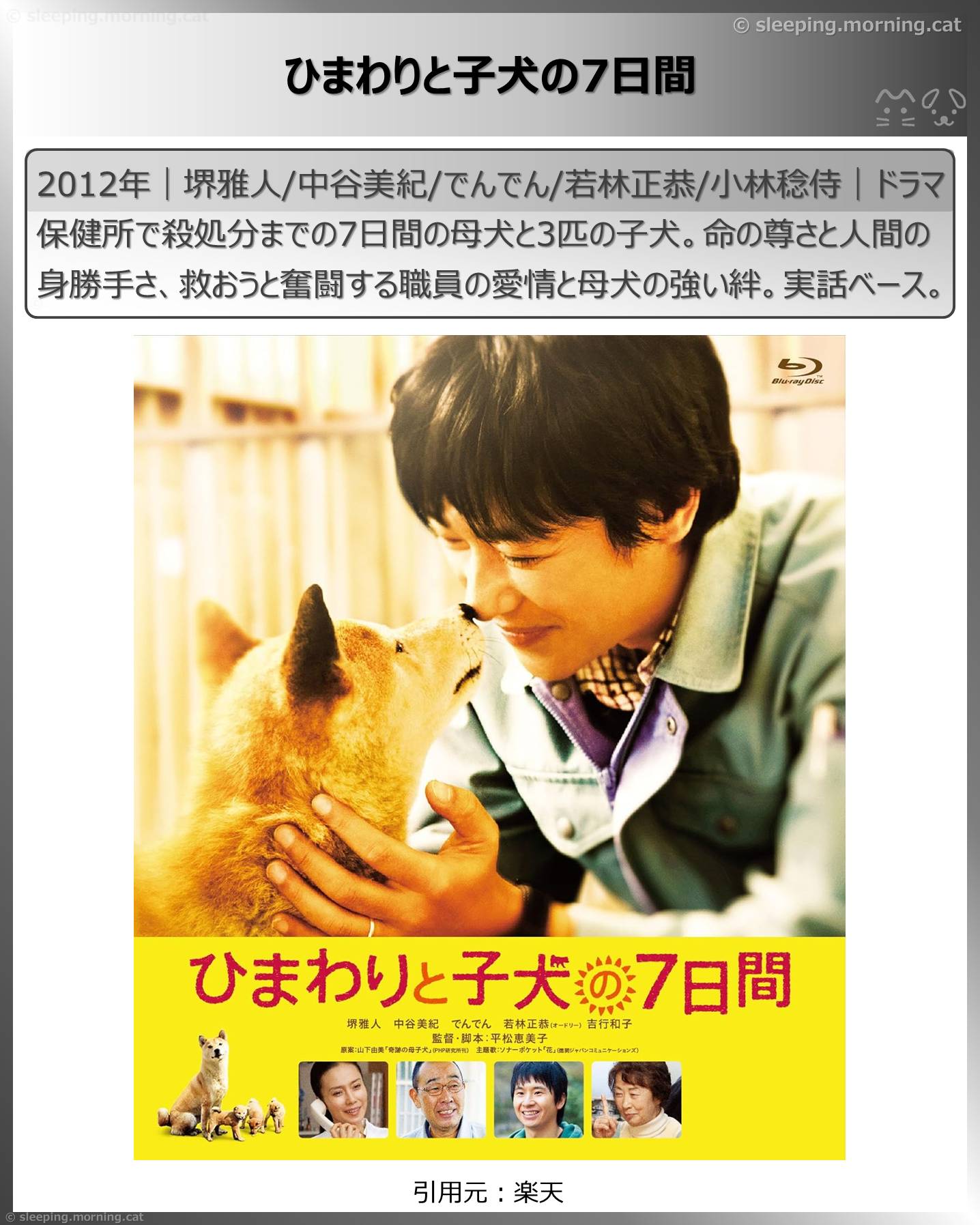 中谷美紀：ひまわりと子犬の7日間
