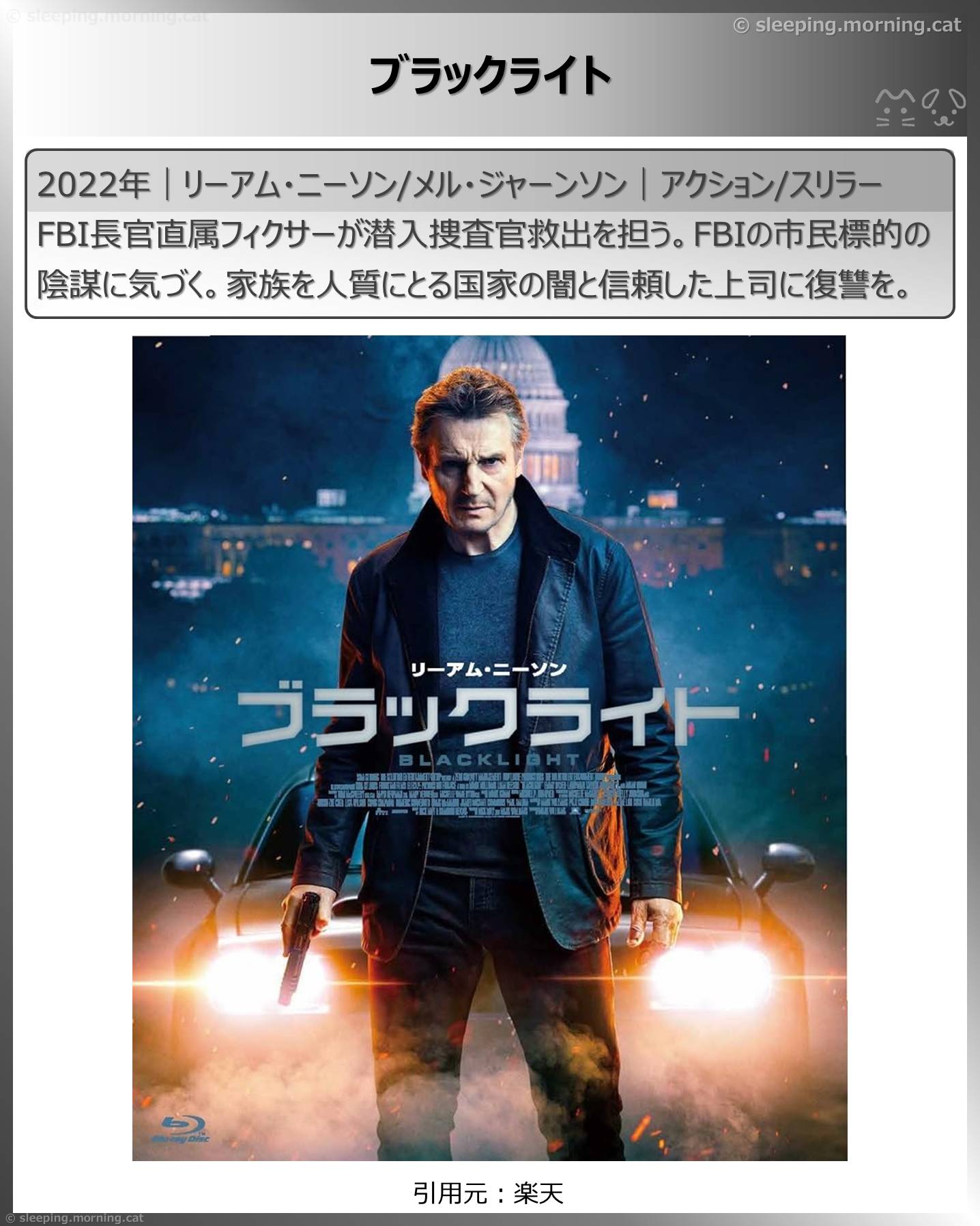 リーアム・ニーソン：ブラックライト