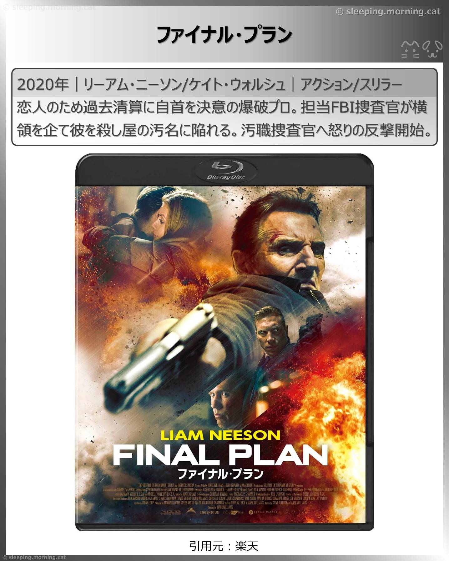 リーアム・ニーソン：ファイナル・プラン