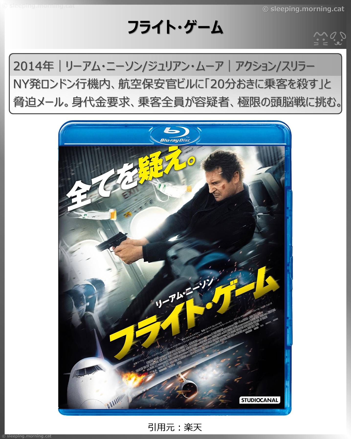 リーアム・ニーソン：フライト・ゲーム
