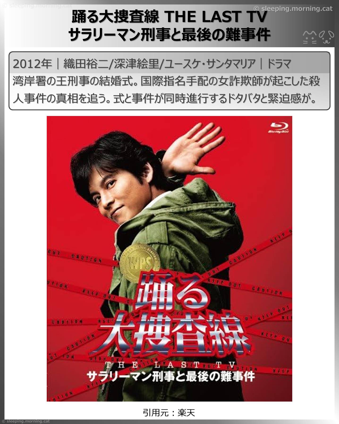 深津絵里：踊る大捜査線 THE LAST TV サラリーマン刑事と最後の難事件