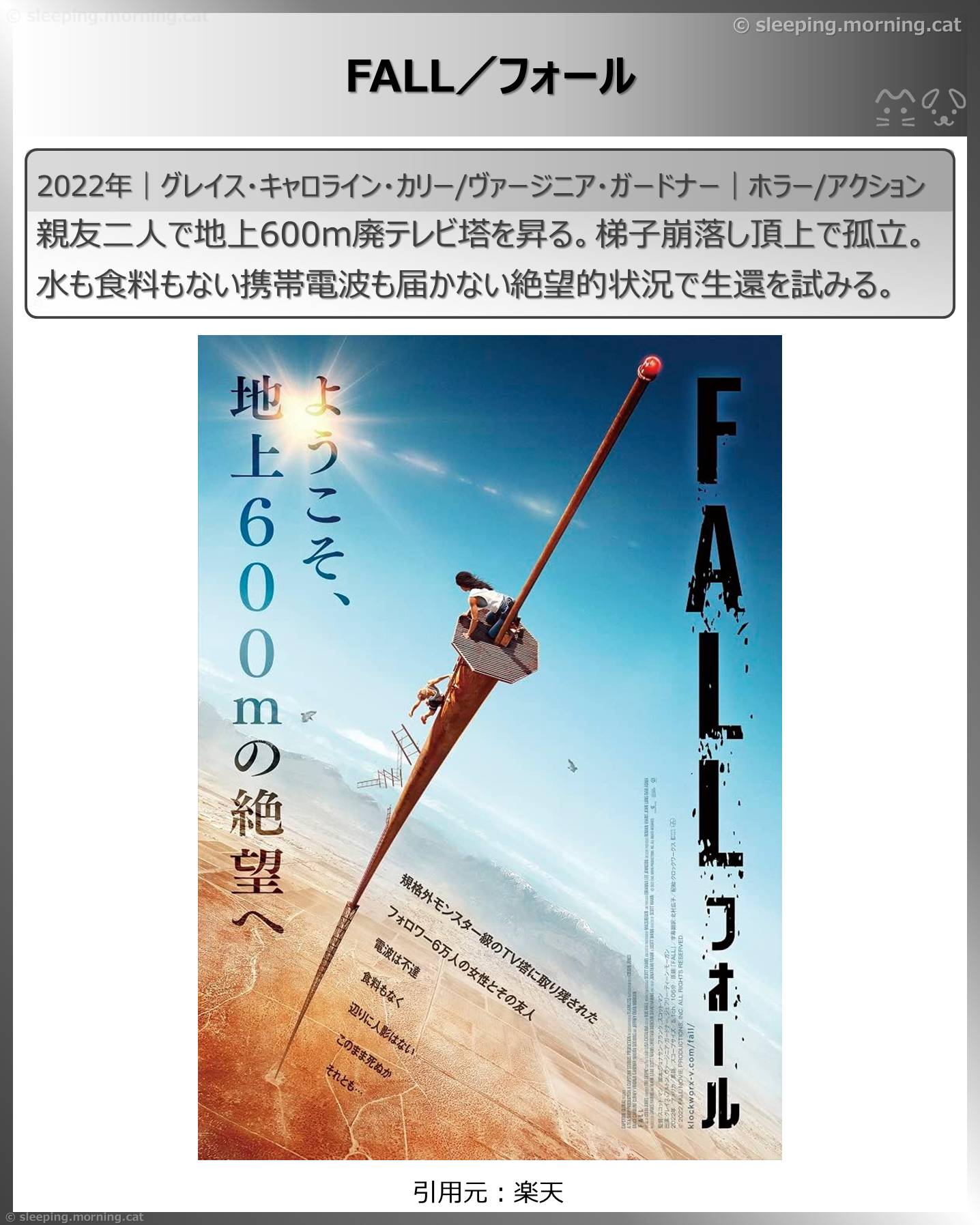 高所恐怖症は閲覧注意：FALL／フォール