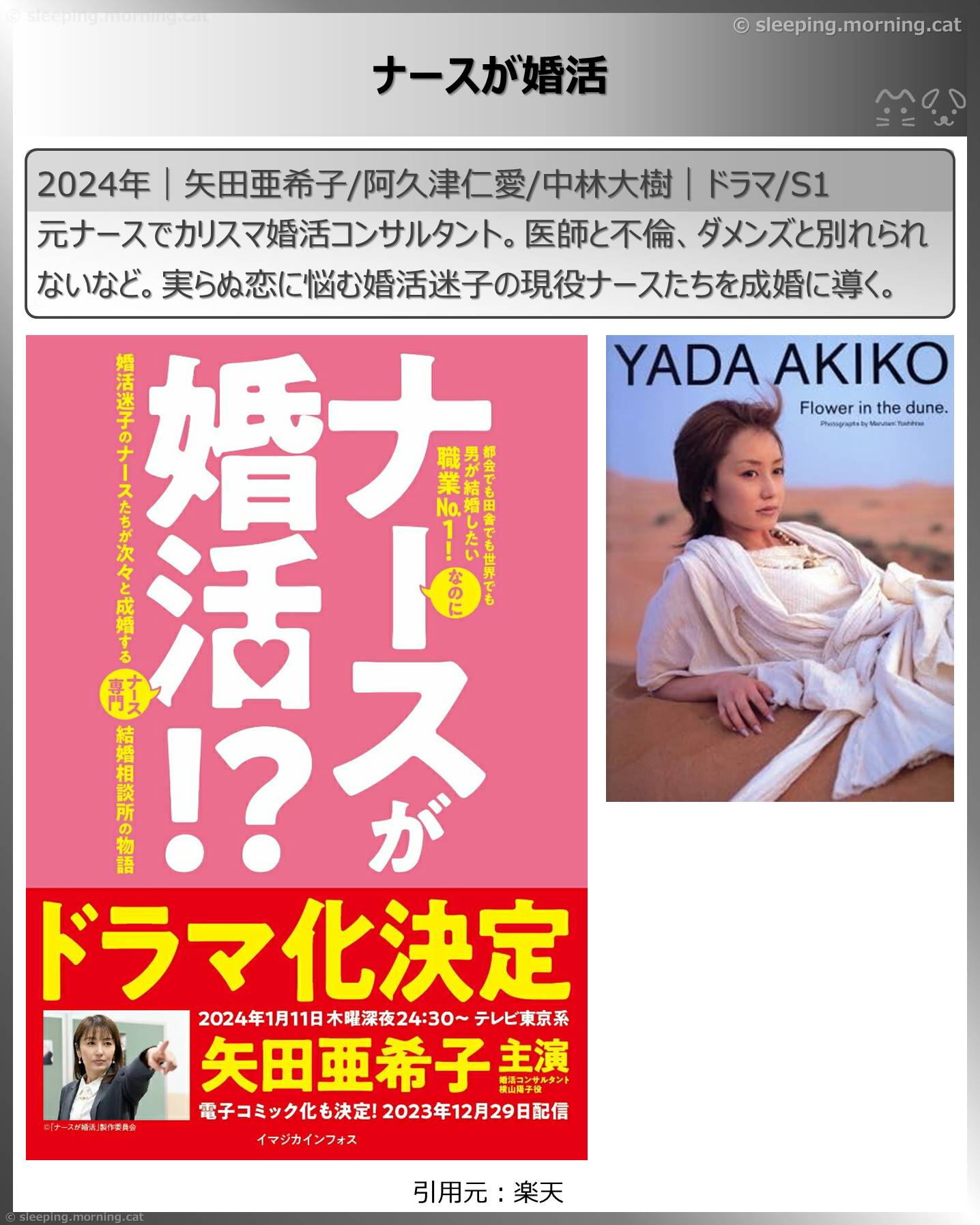 アマプラ恋愛系・結婚系国内ドラマ：ナースが婚活