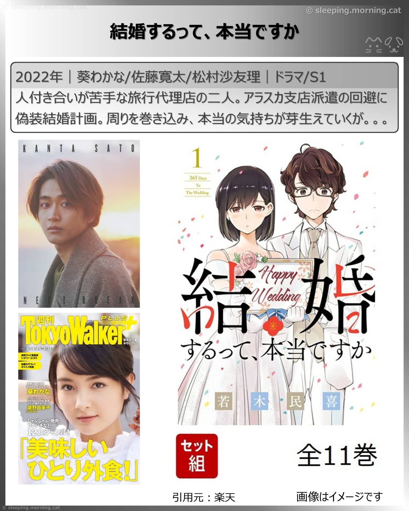 アマプラ恋愛系・結婚系国内ドラマ：結婚するって、本当ですか