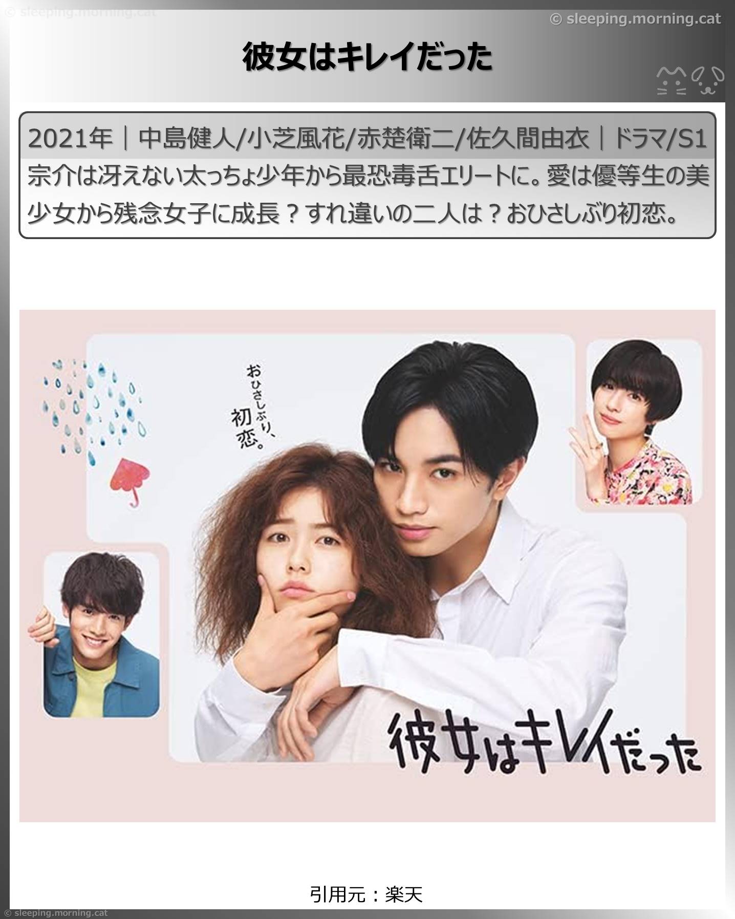 アマプラ恋愛系・結婚系国内ドラマ：彼女はキレイだった