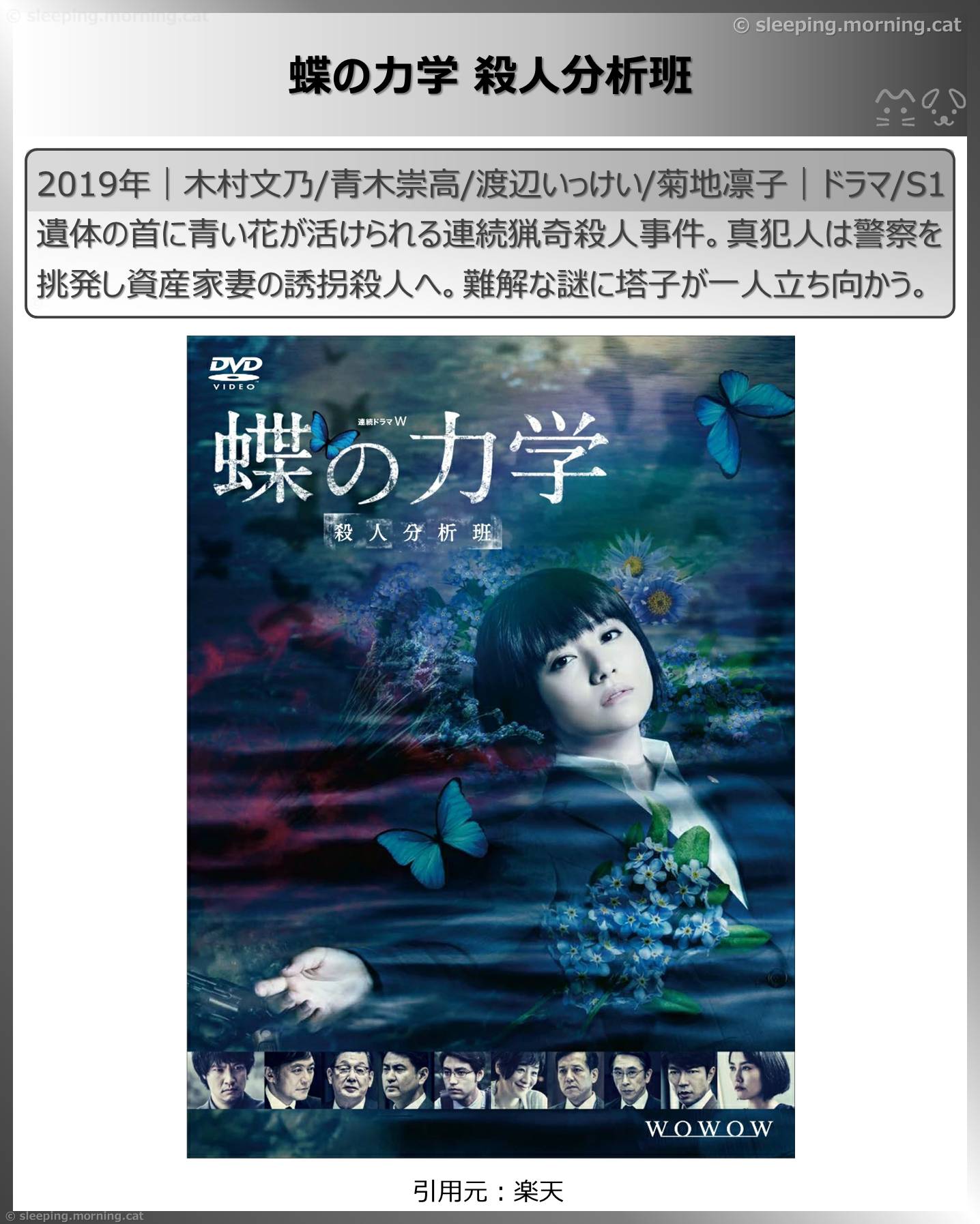 木村文乃：蝶の力学 殺人分析班