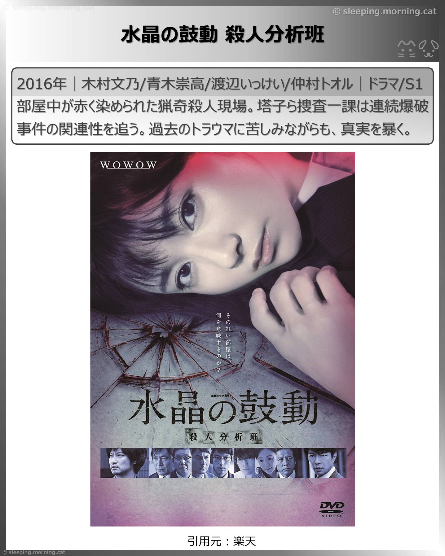 木村文乃：水晶の鼓動 殺人分析班