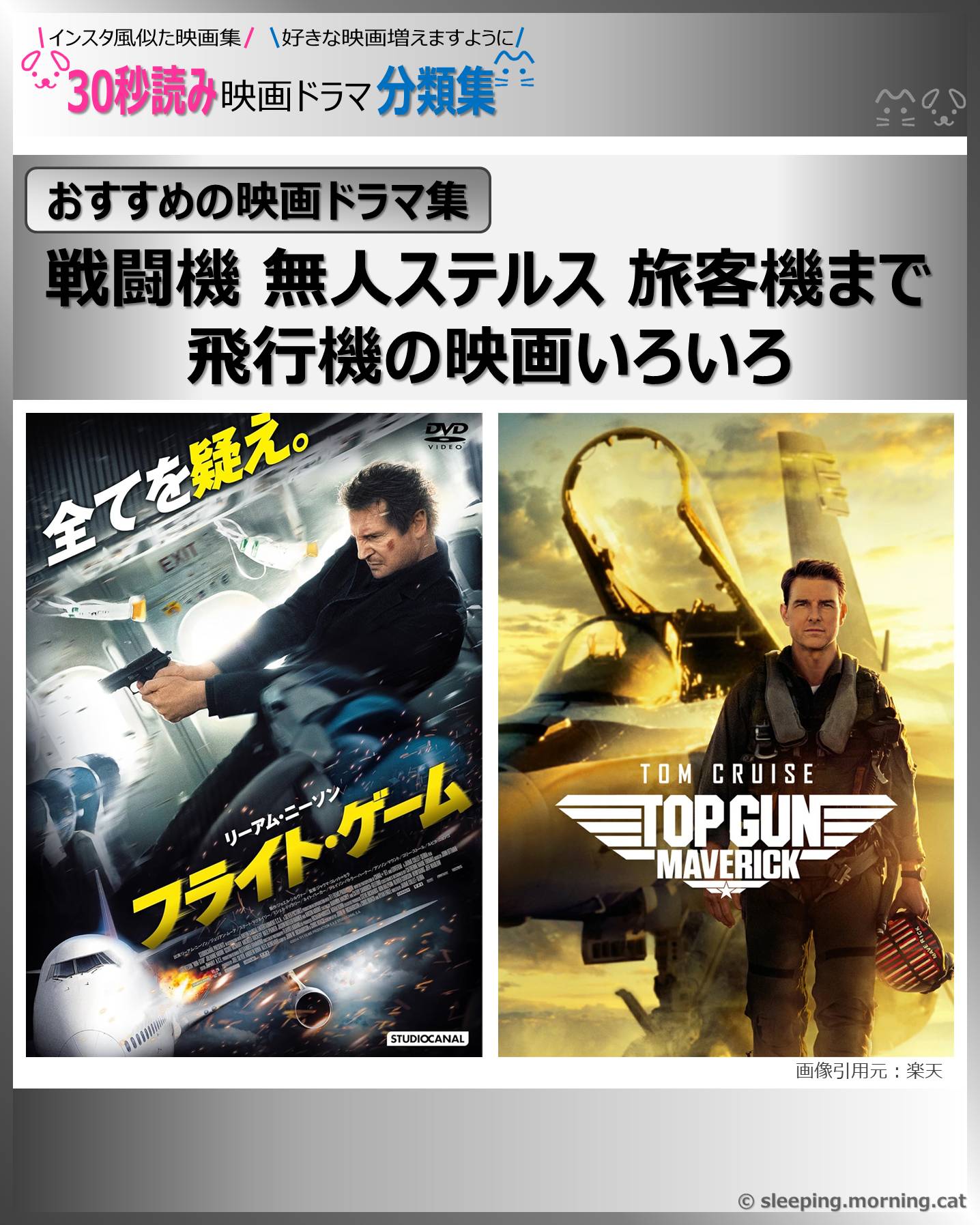 表紙：飛行機の映画