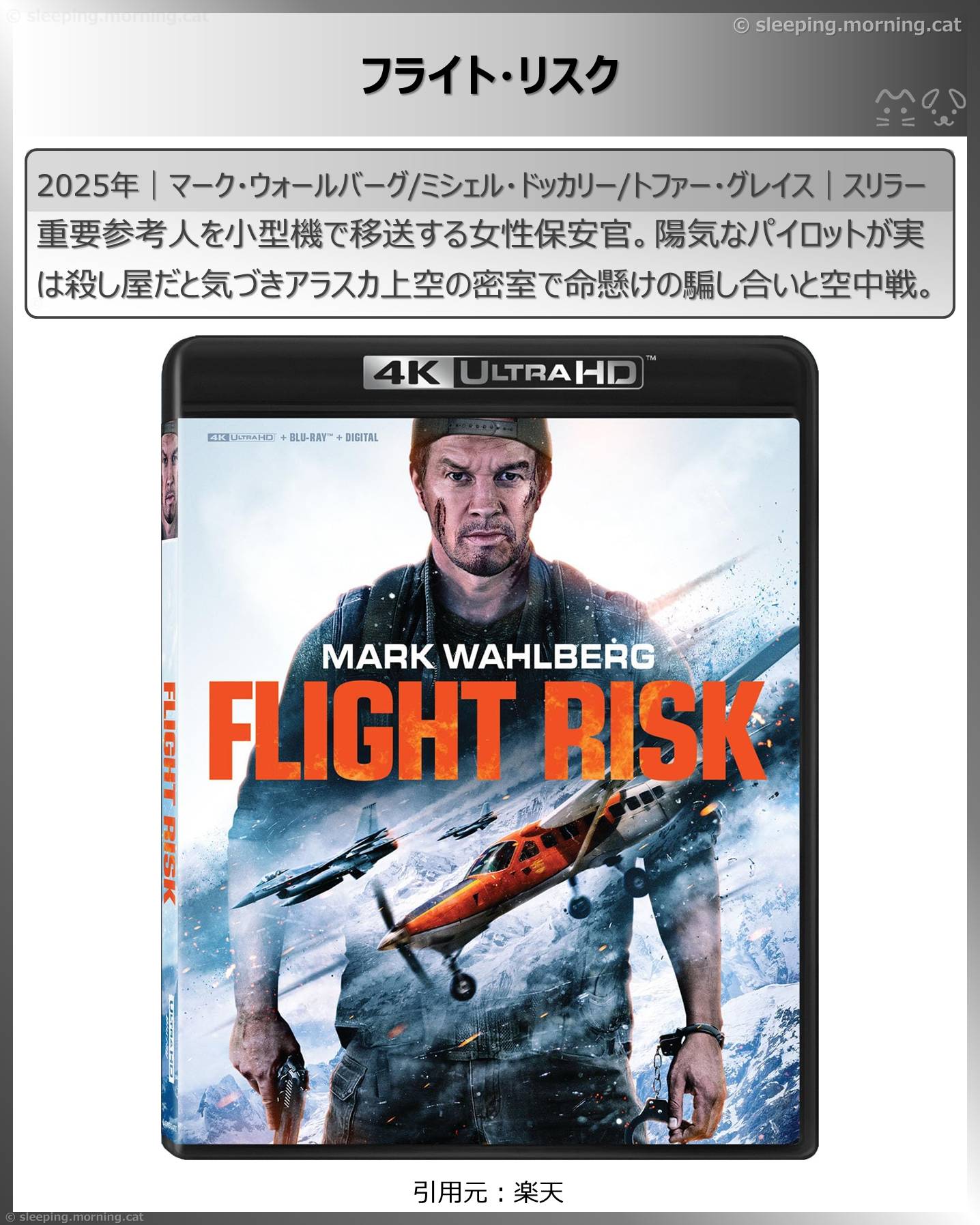 飛行機の映画：フライト・リスク