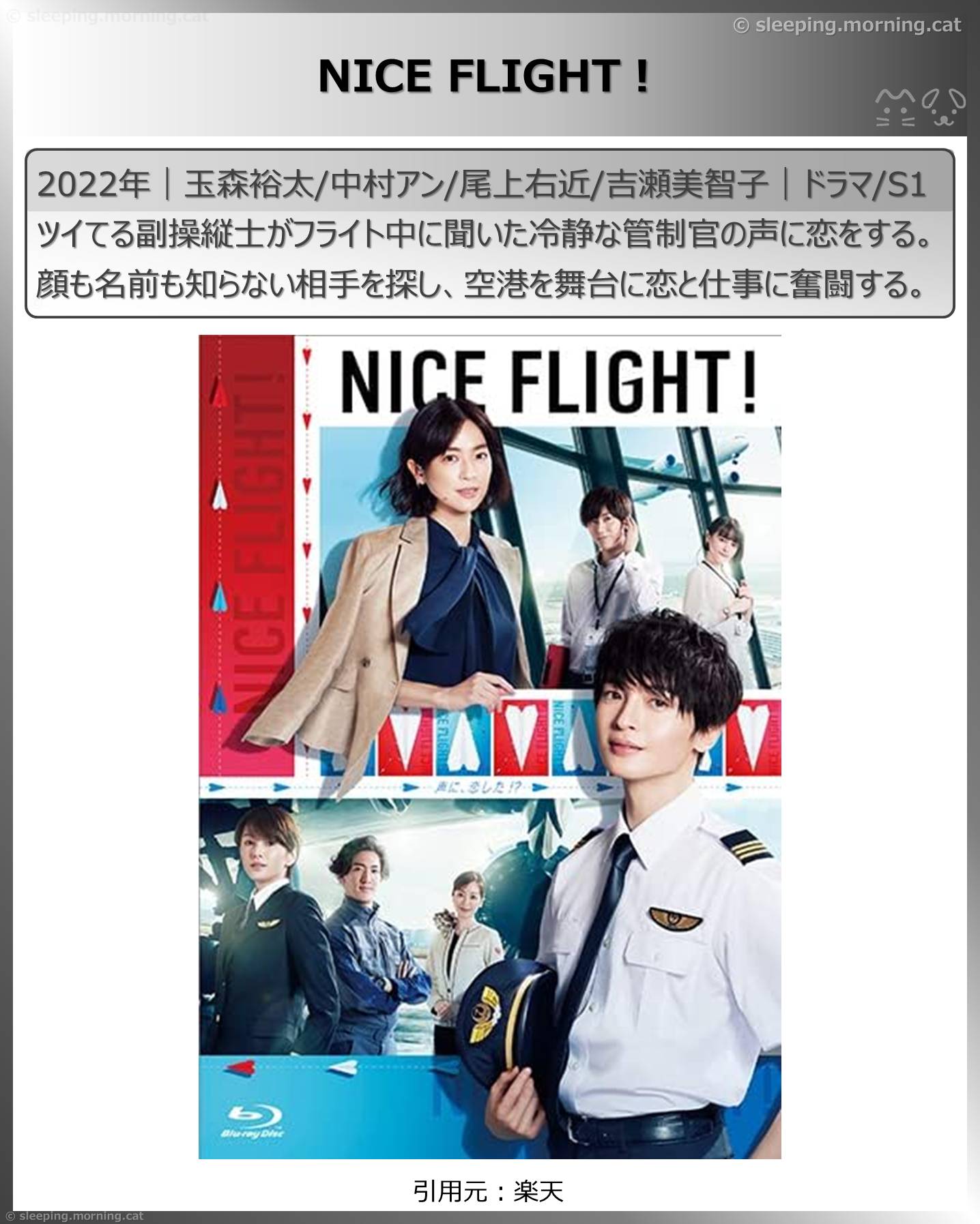 飛行機の映画：NICE FLIGHT!