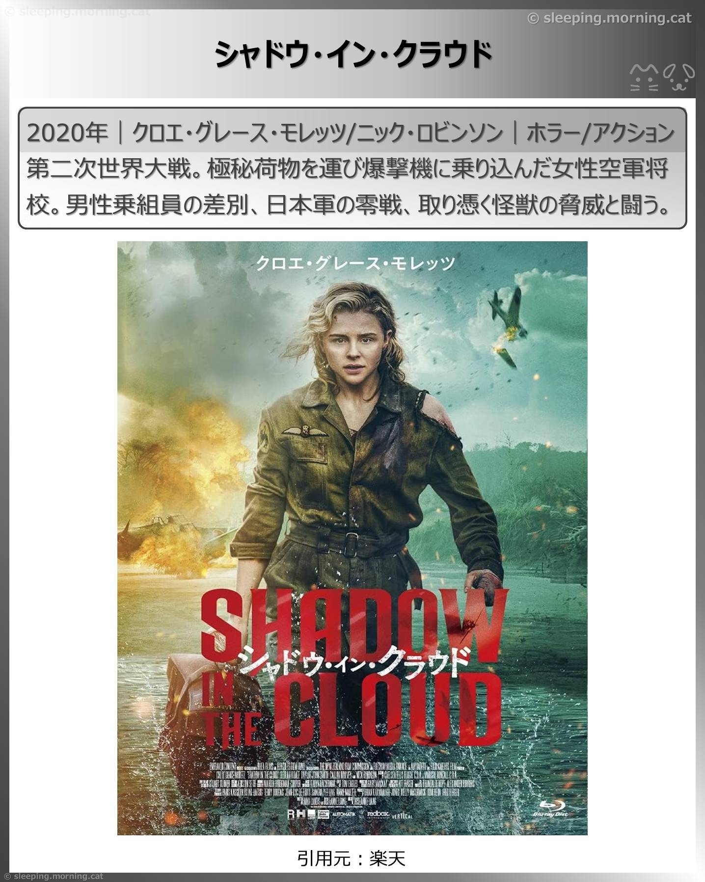 飛行機の映画：シャドウ・イン・クラウド