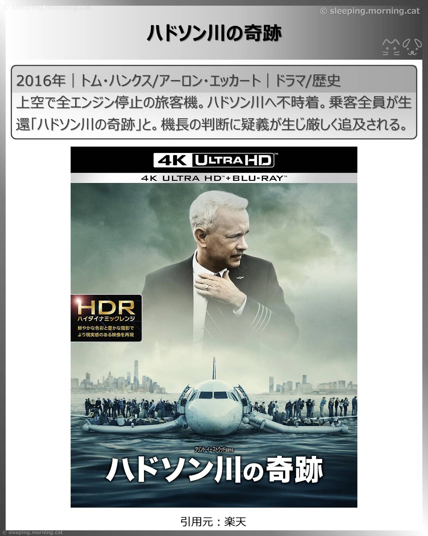 飛行機の映画：ハドソン川の奇跡