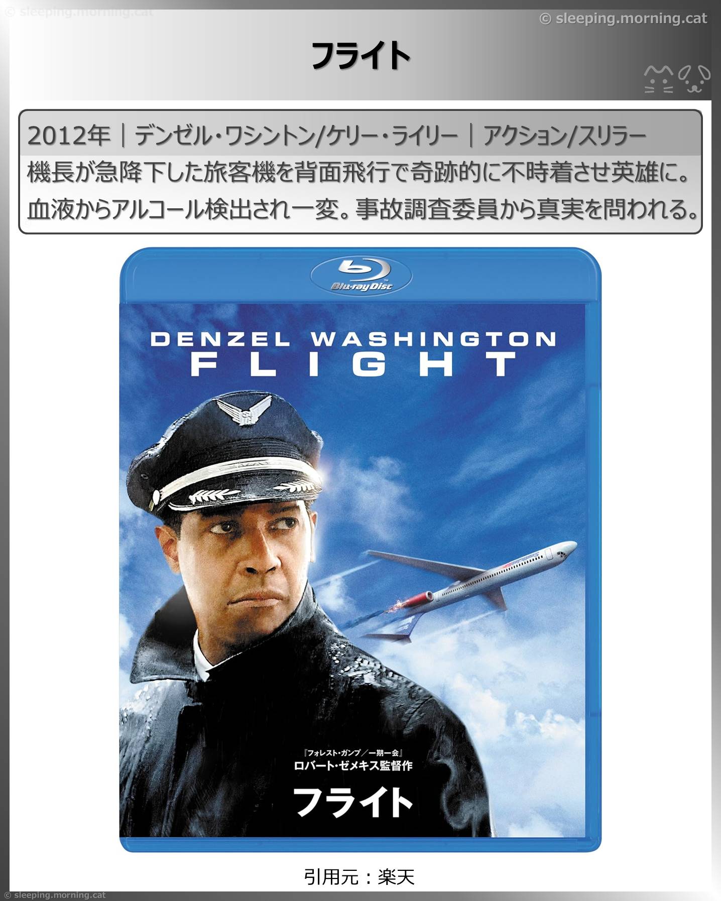 飛行機の映画：フライト
