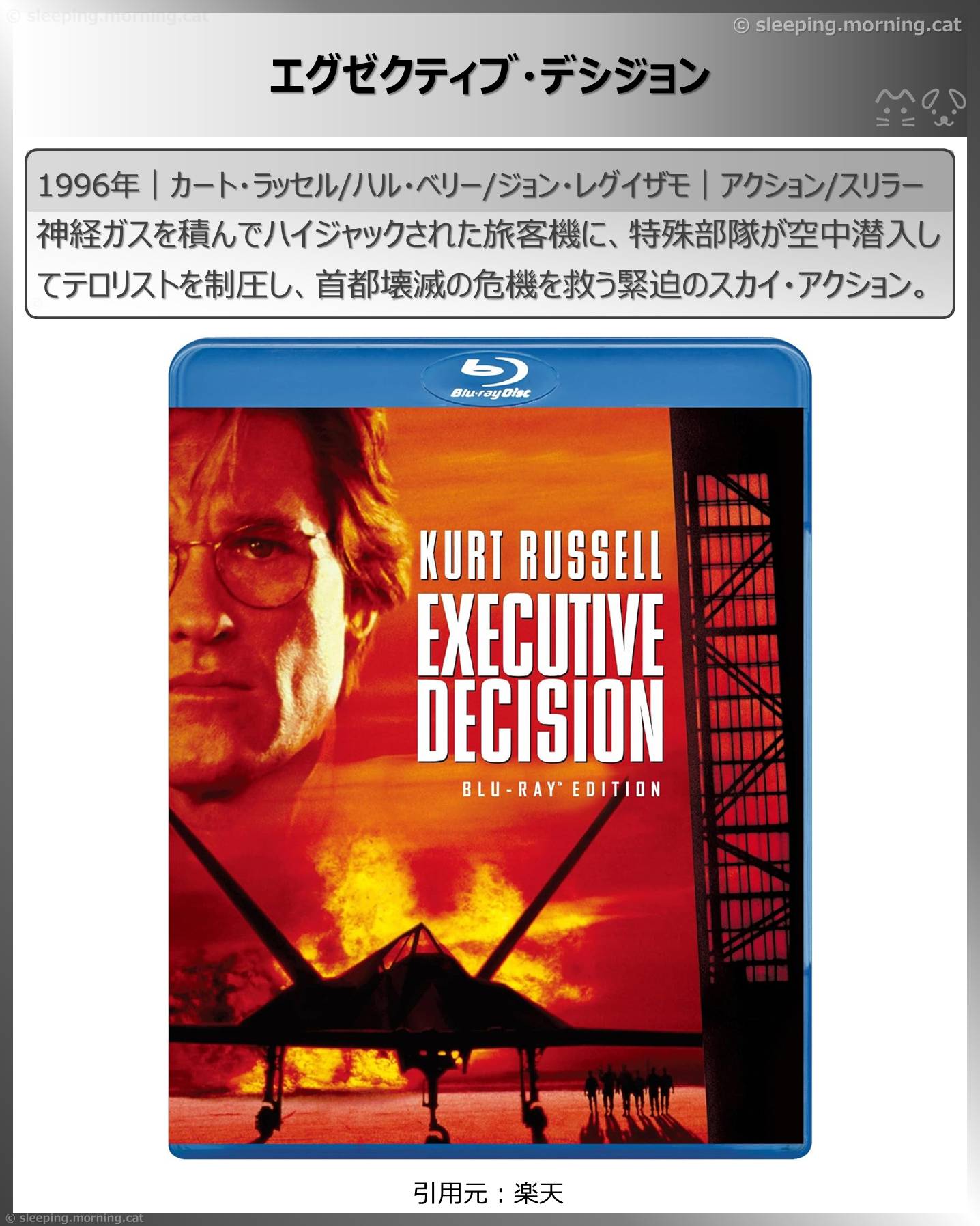 エグゼクティブ・デシジョン