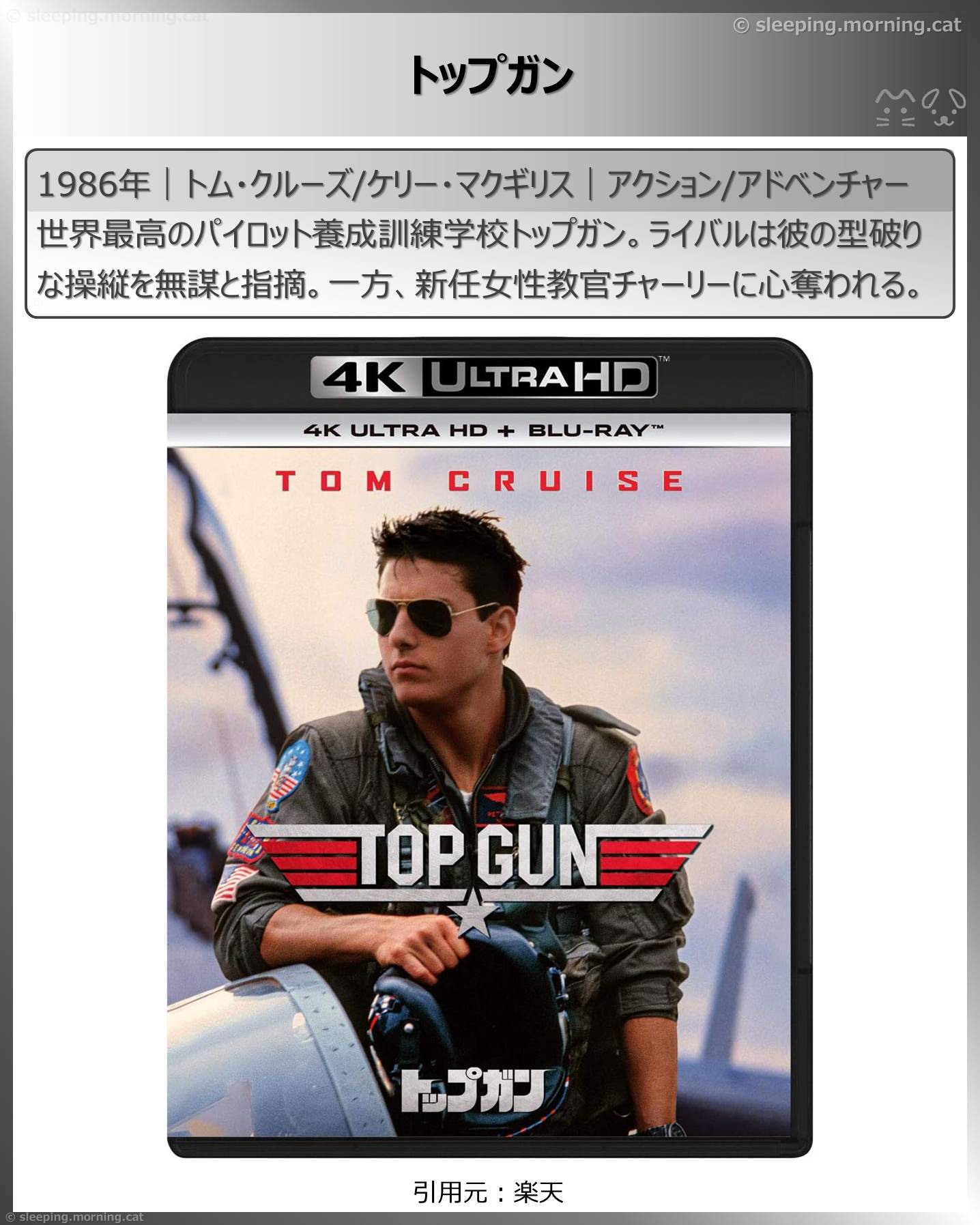 飛行機の映画：トップガン