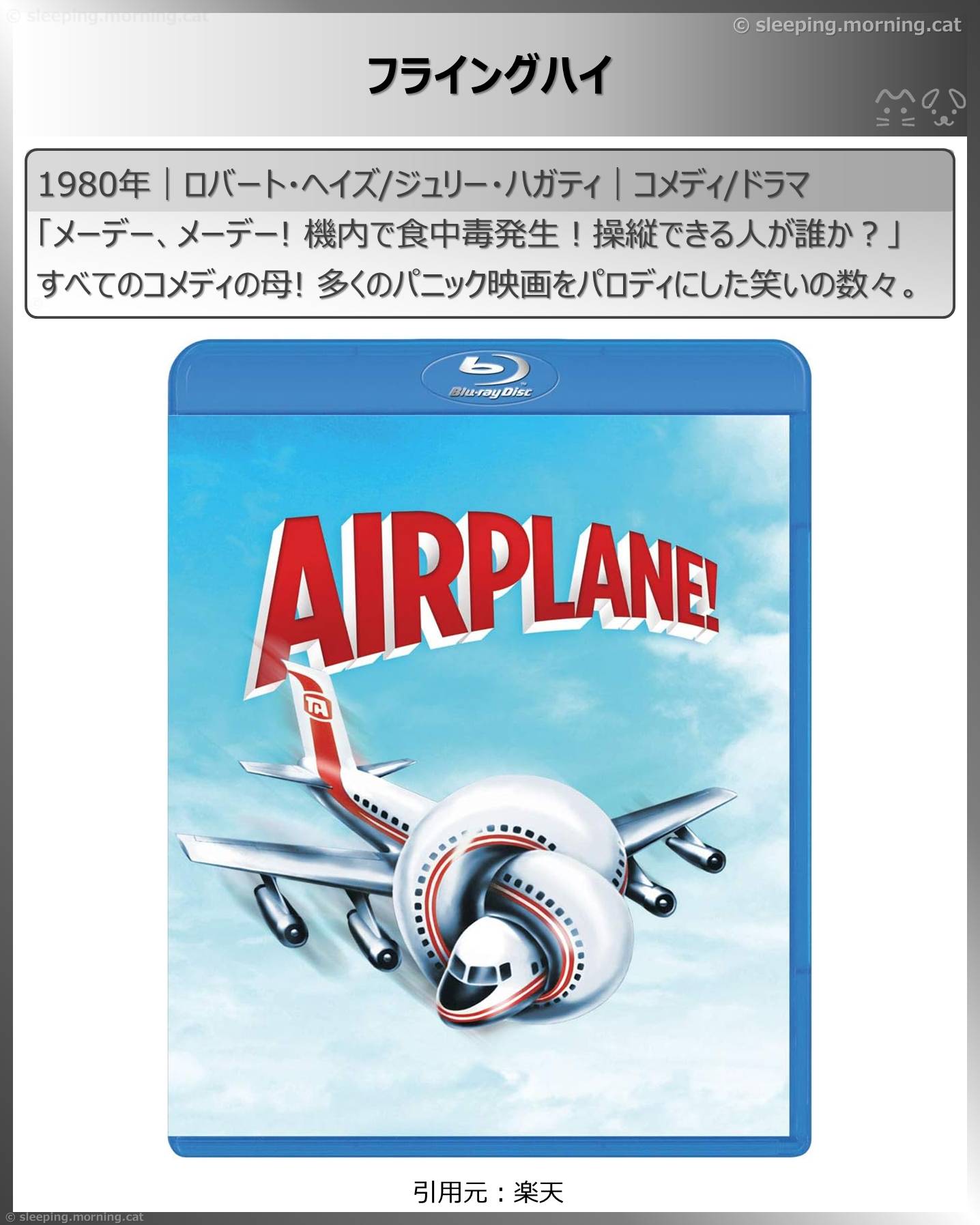 飛行機の映画：フライングハイ