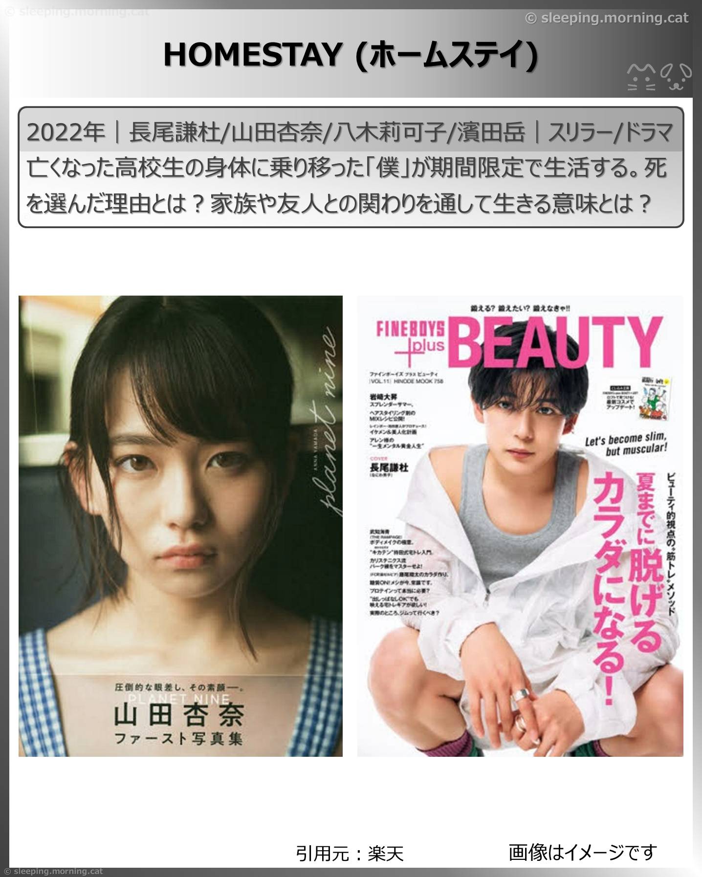 死後映画、死んでも死ねない映画：HOMESTAY (ホームステイ)