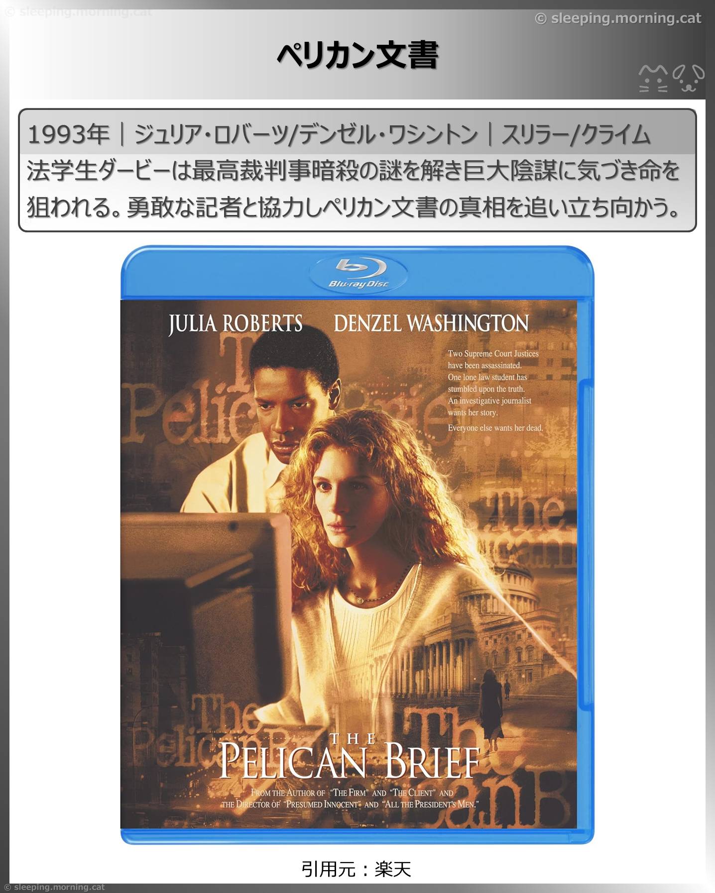 デンゼル・ワシントン：ペリカン文書