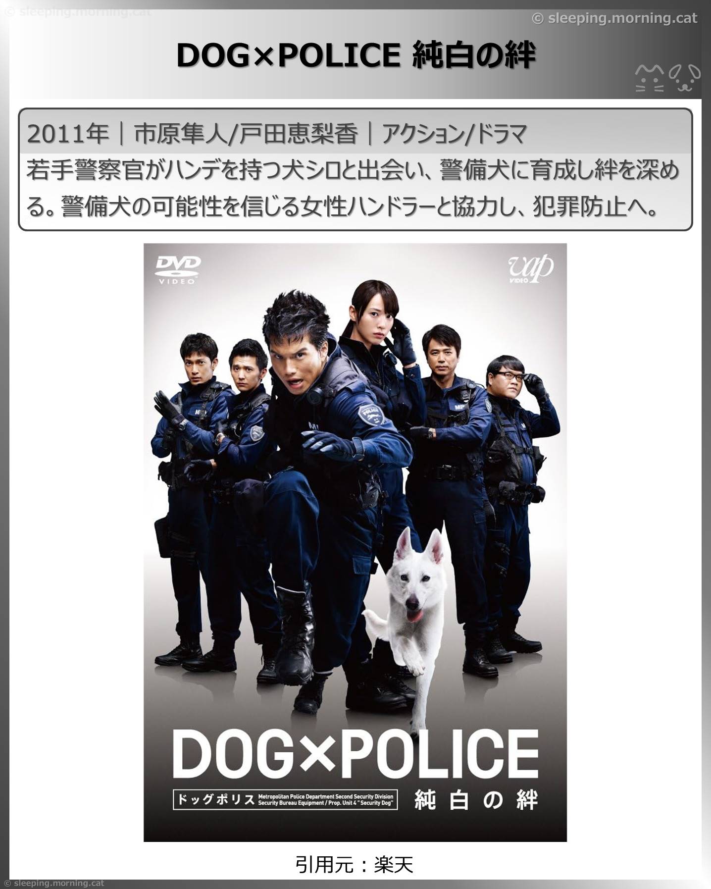 戸田恵梨香：DOG×POLICE純白の絆