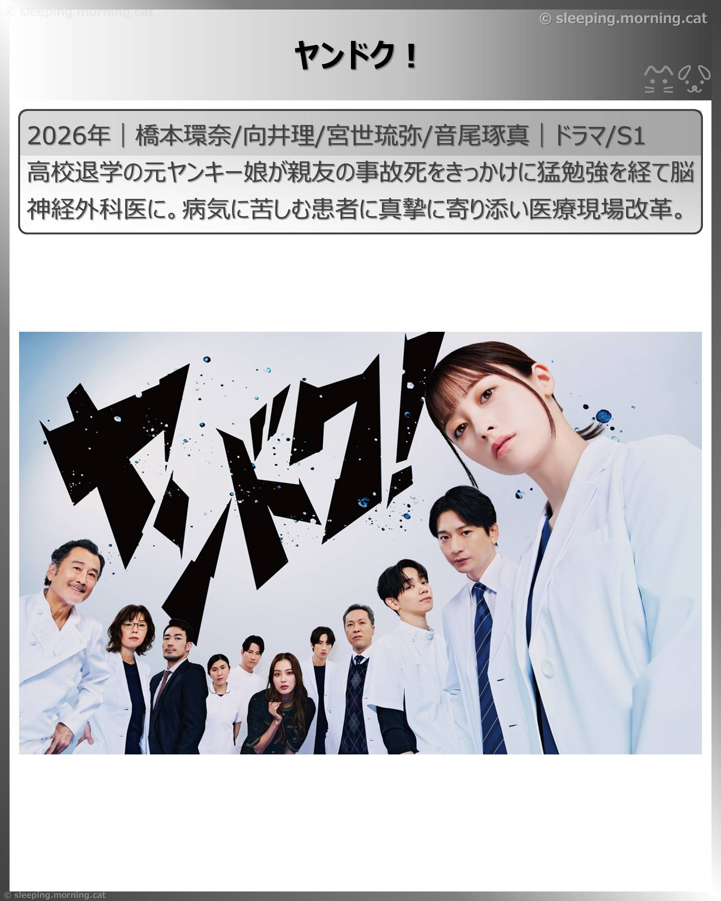 向井理：ヤンドク！