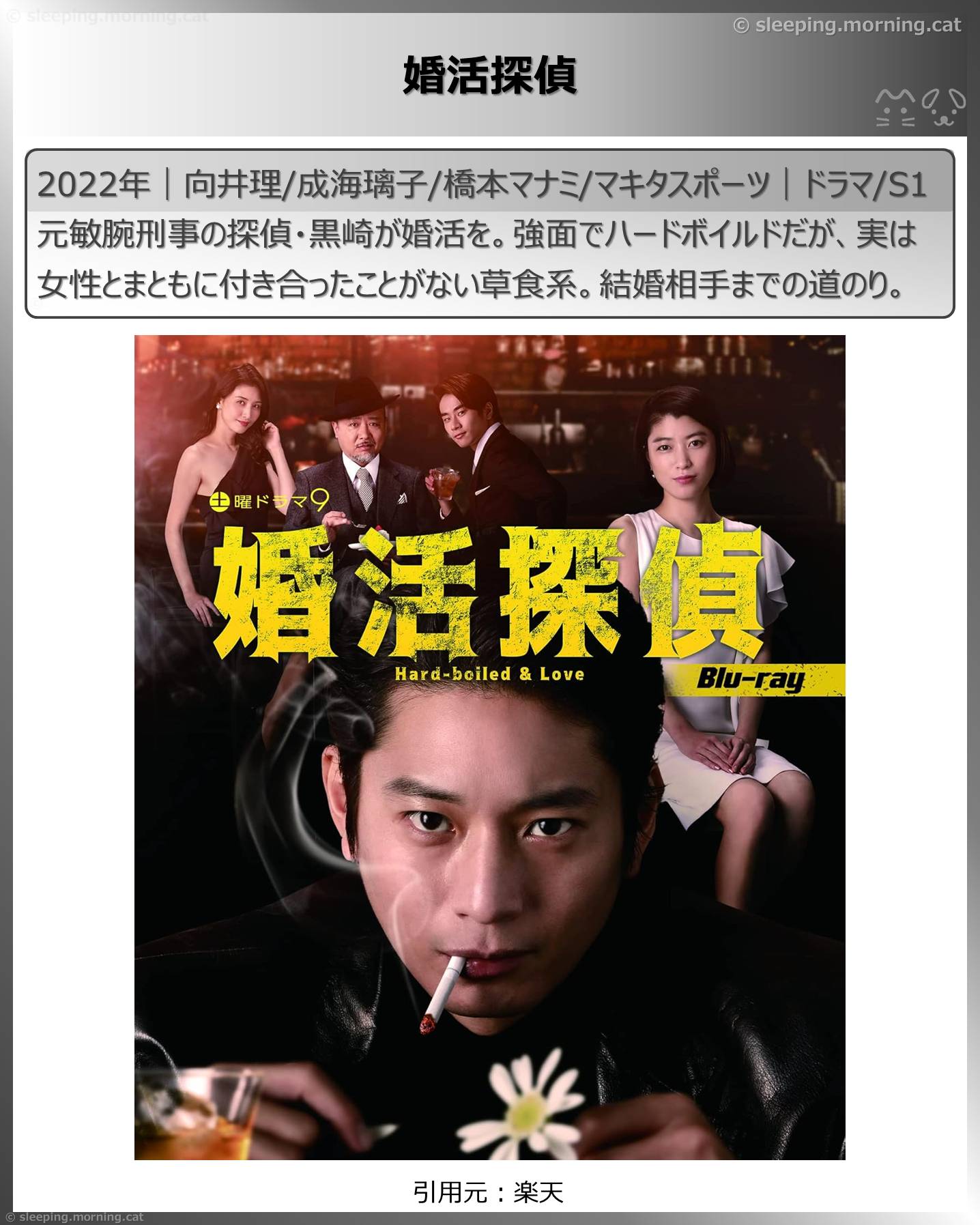 向井理：婚活探偵