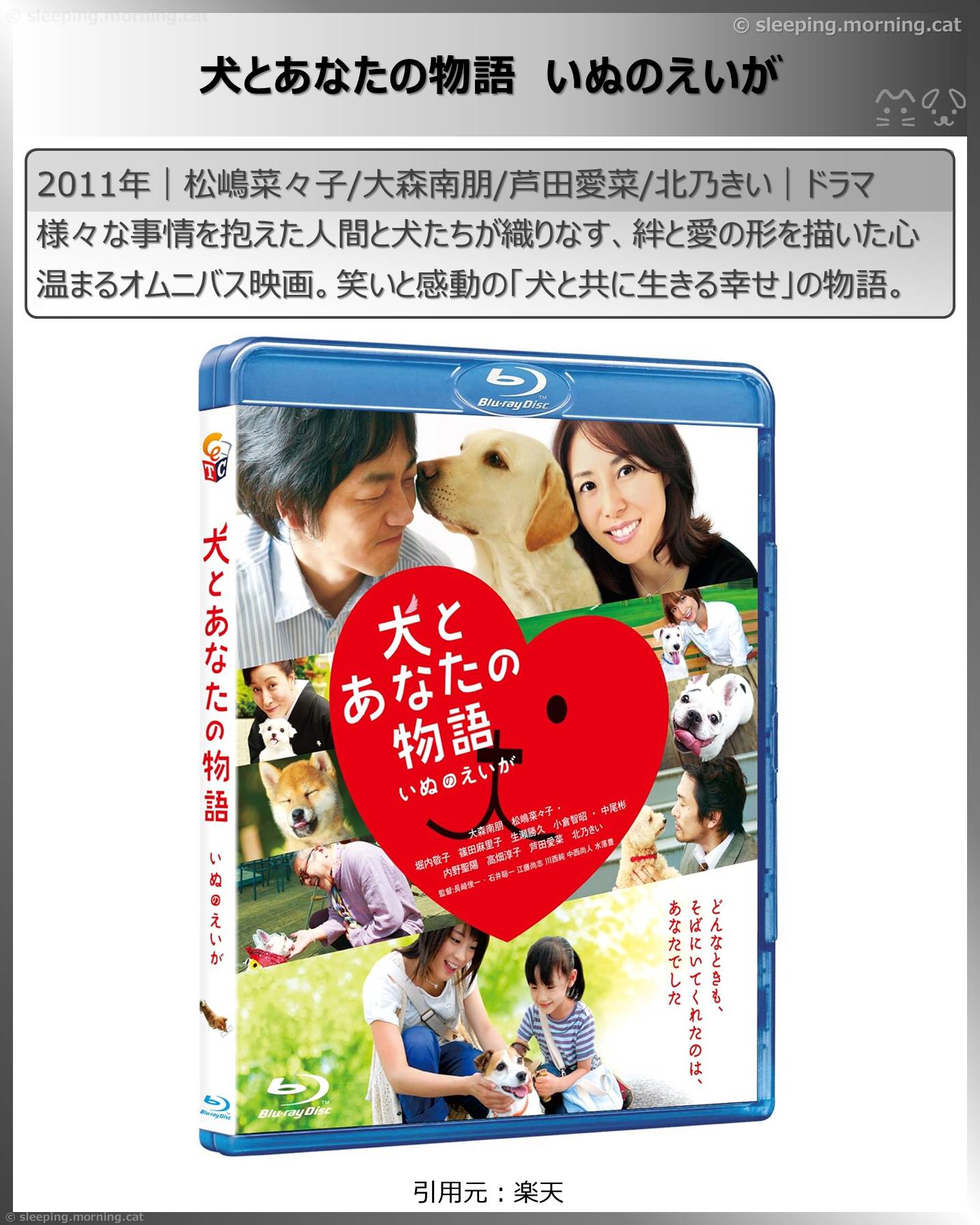 松嶋菜々子：犬とあなたの物語いぬのえいが