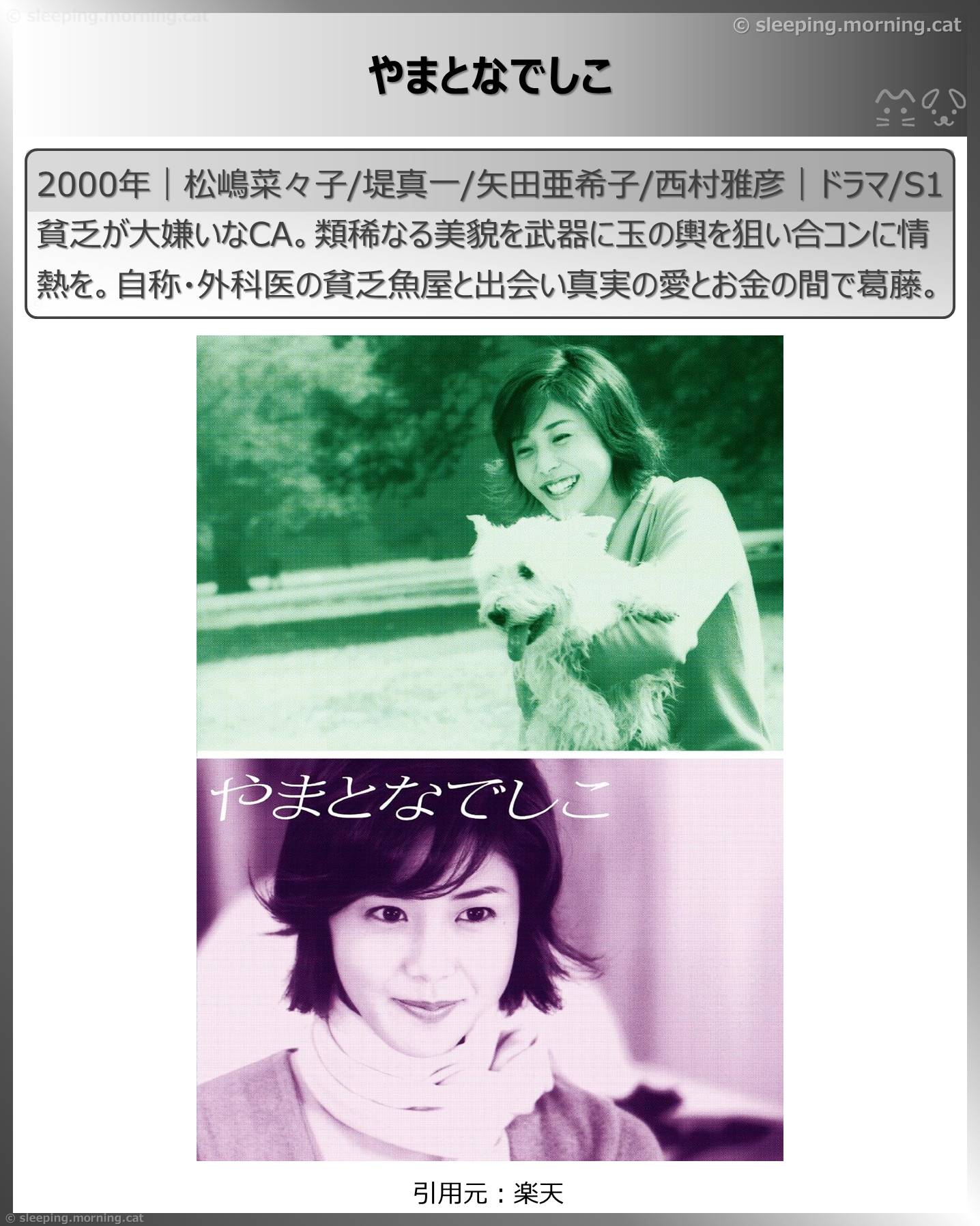 松嶋菜々子：やまとなでしこ