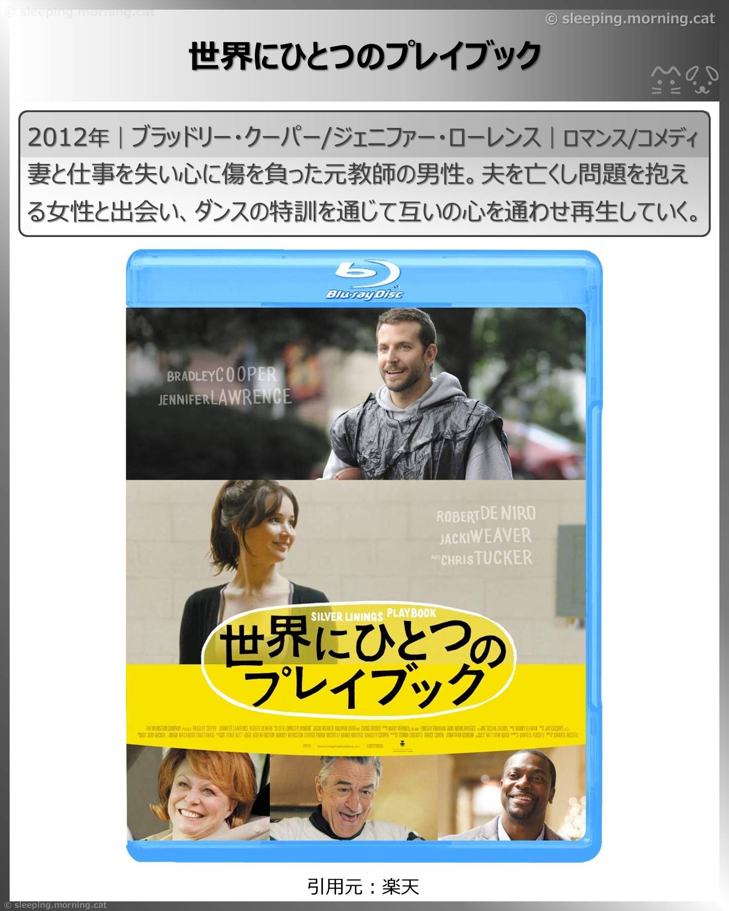 ジェニファー・ローレンス：世界にひとつのプレイブック