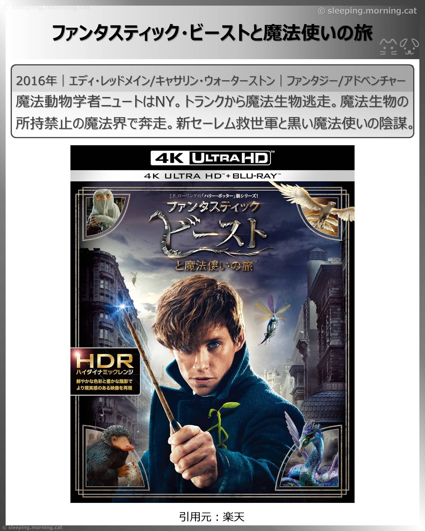 エディ・レッドメイン：ファンタスティック・ビーストと魔法使いの旅