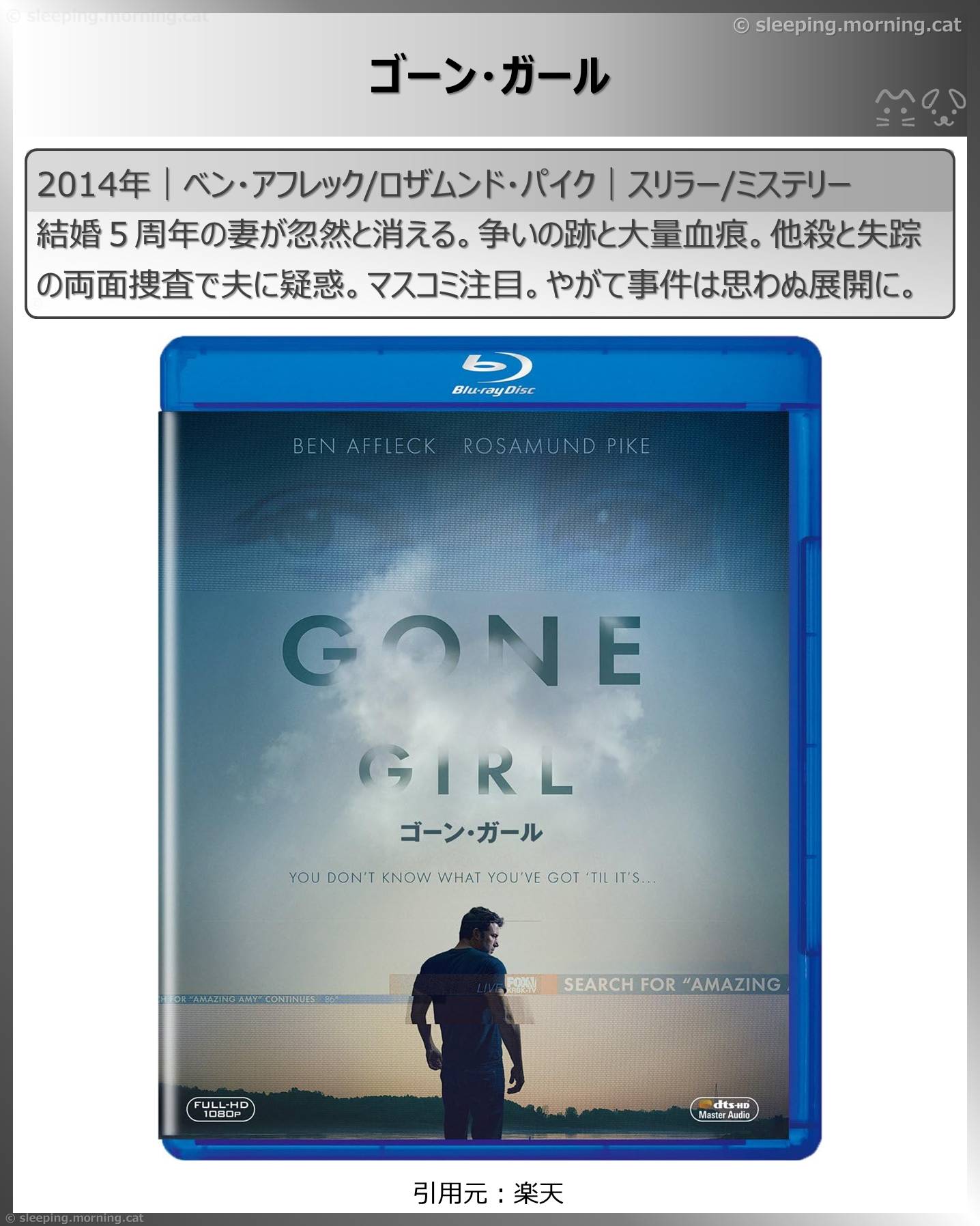 ゴーン・ガール