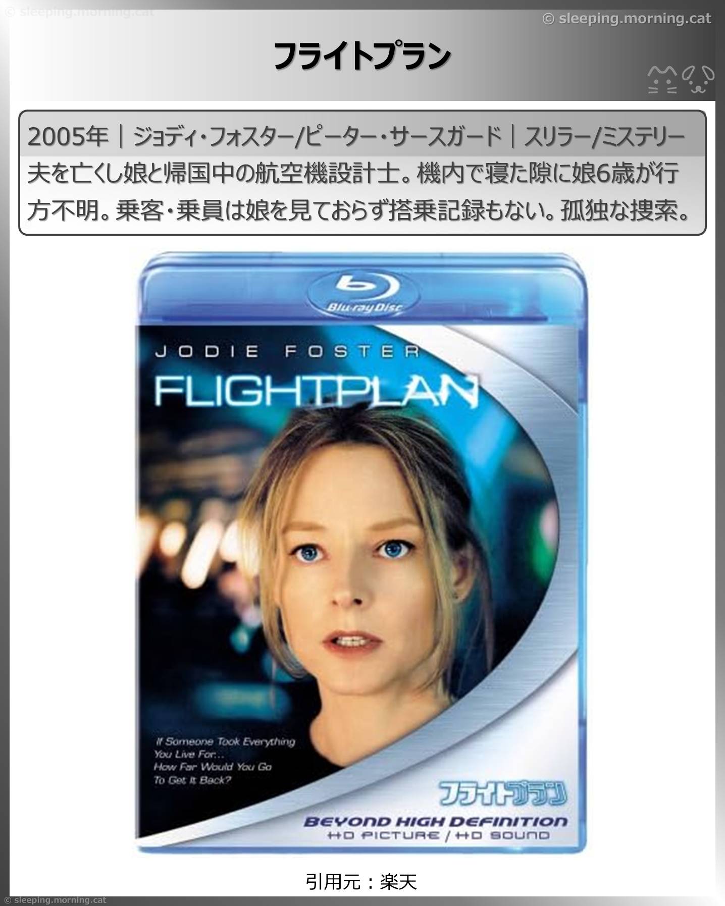 大どんでん返し海外映画：フライトプラン