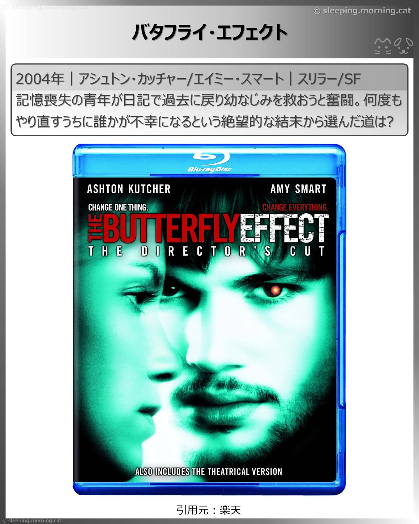 大どんでん返し海外映画：バタフライ・エフェクト