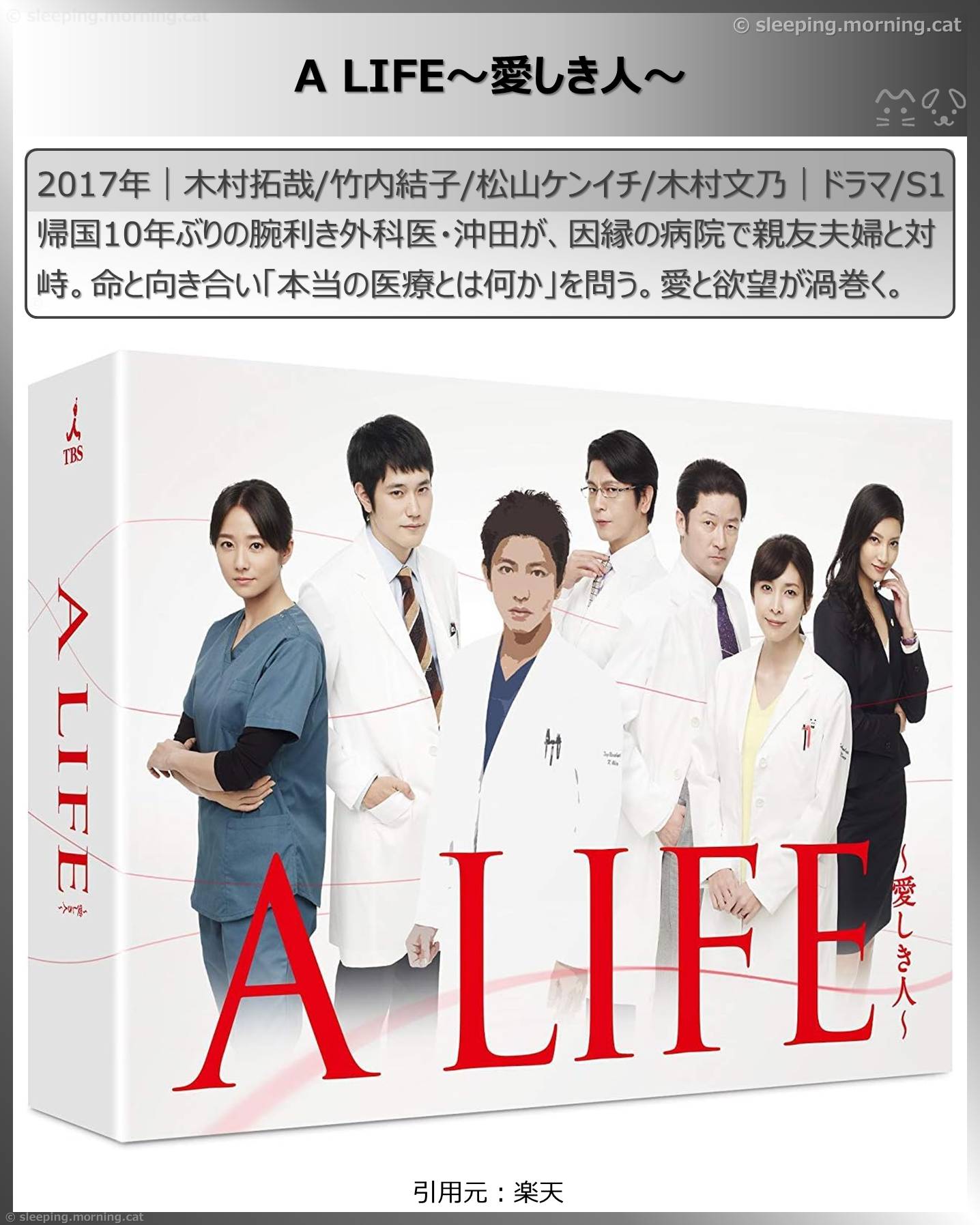 木村文乃：A LIFE～愛しき人～