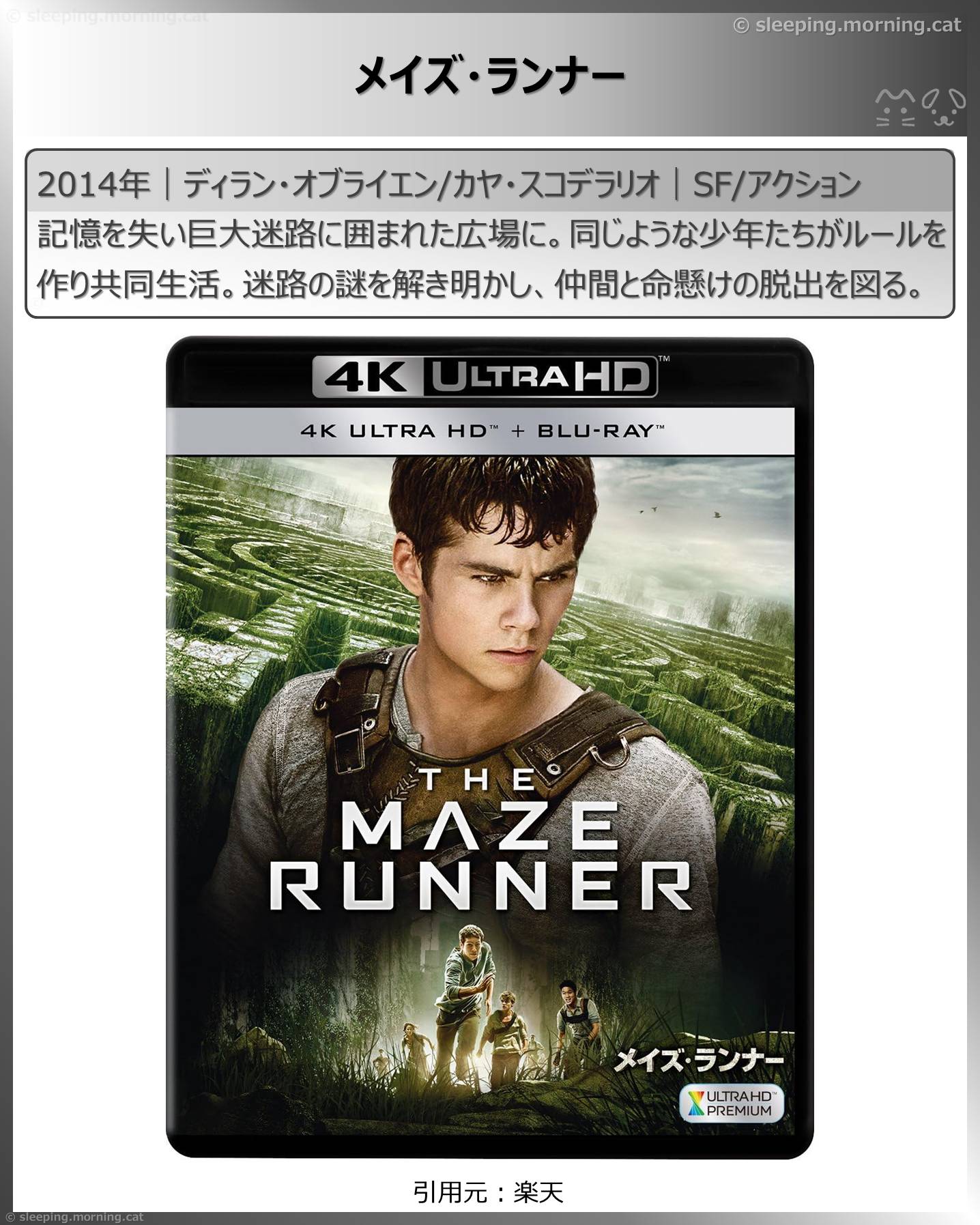 メイズ・ランナー