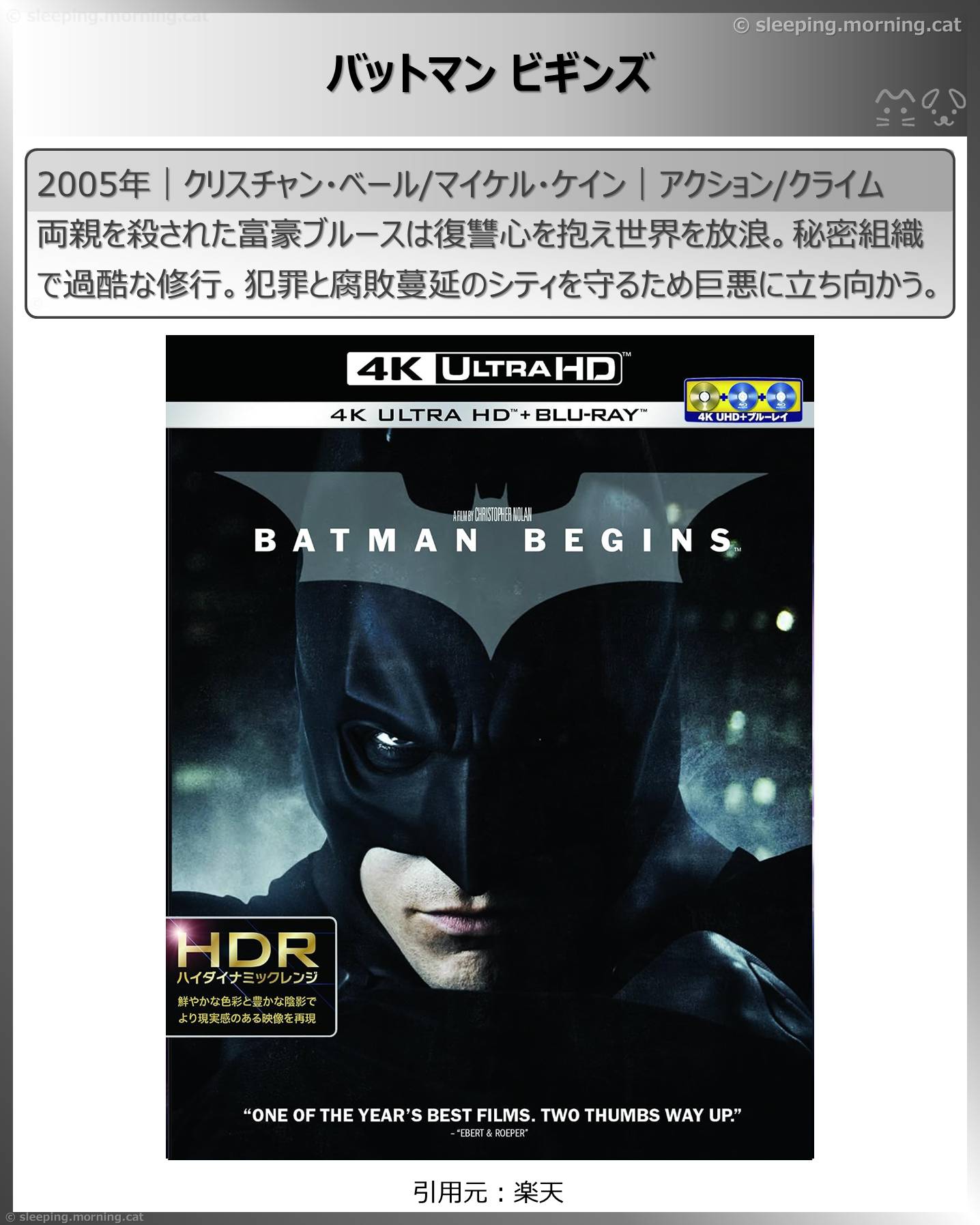 バットマン ビギンズ