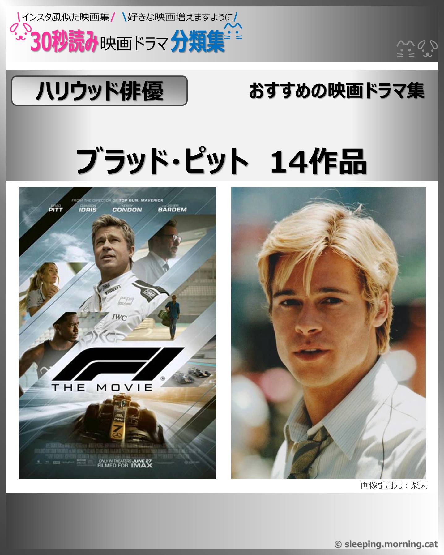 【ハリウッド俳優】ブラッド・ピット　おすすめ14作品