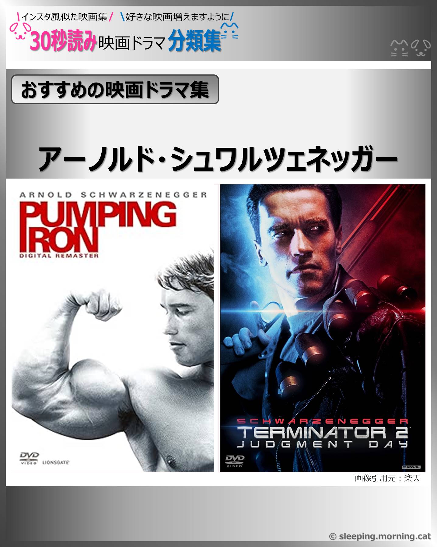 アーノルド・シュワルツェネッガー【おすすめの映画ドラマ集】