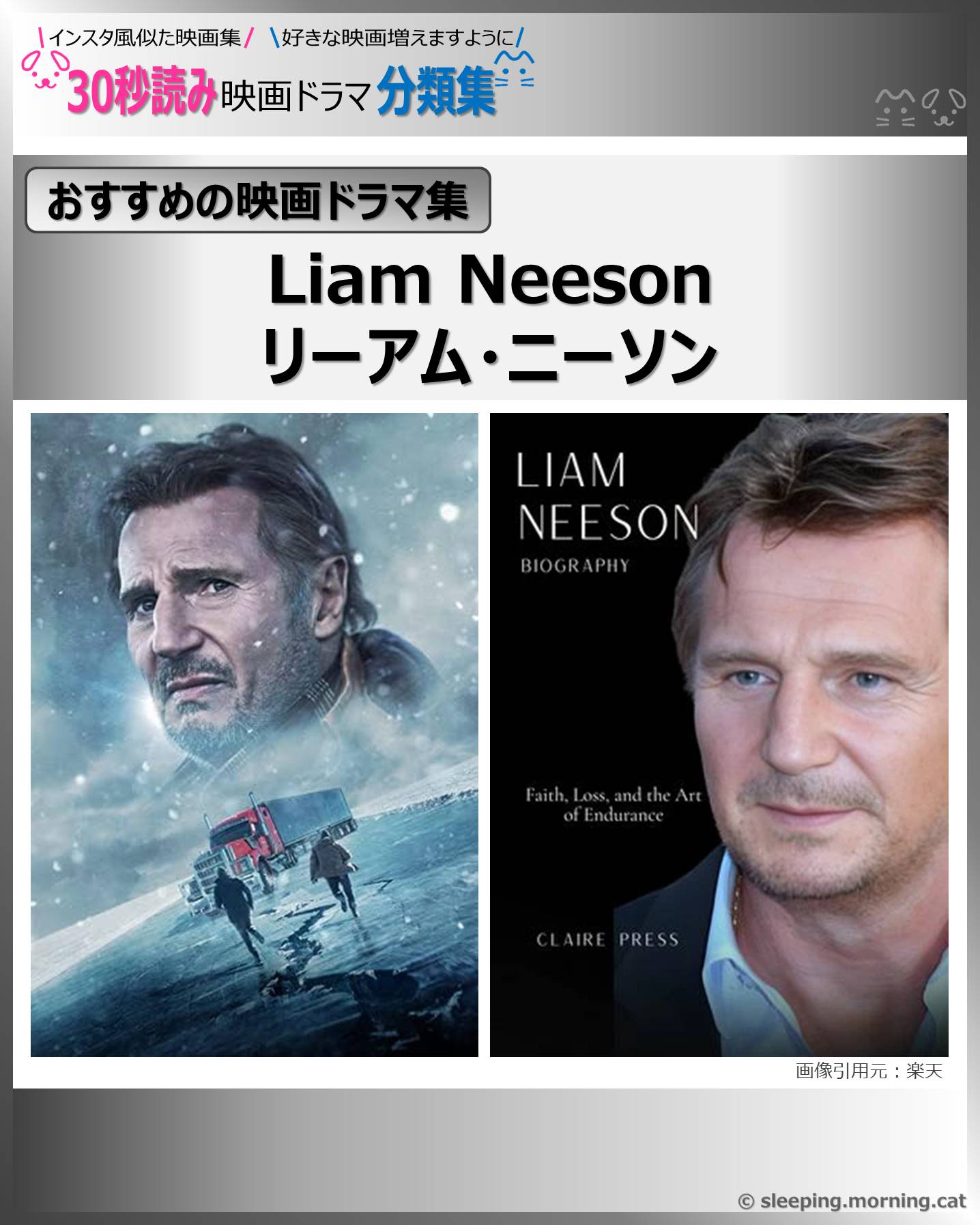 Liam Neeson：リーアム・ニーソン【おすすめの映画ドラマ集】